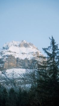 Majestic snowy mountain peak with evergreen trees under a clear blue sky, perfect for travel and nature themes.