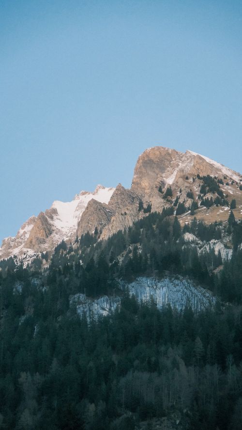 Free Snow-covered peaks with lush forests under clear blue skies, serene nature scene. Stock Photo