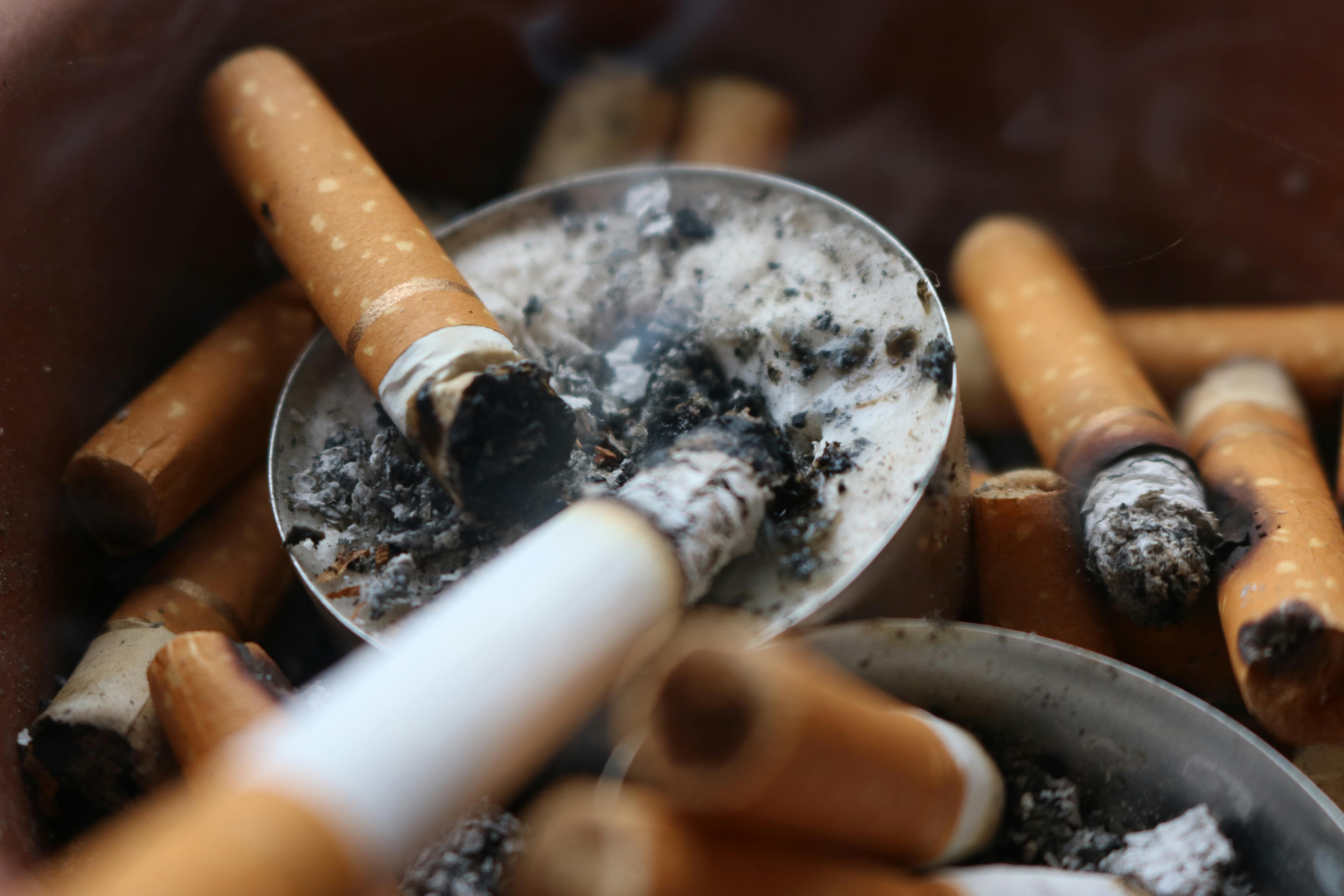 Free stock photo of ashes, cigarette, cigarette butt