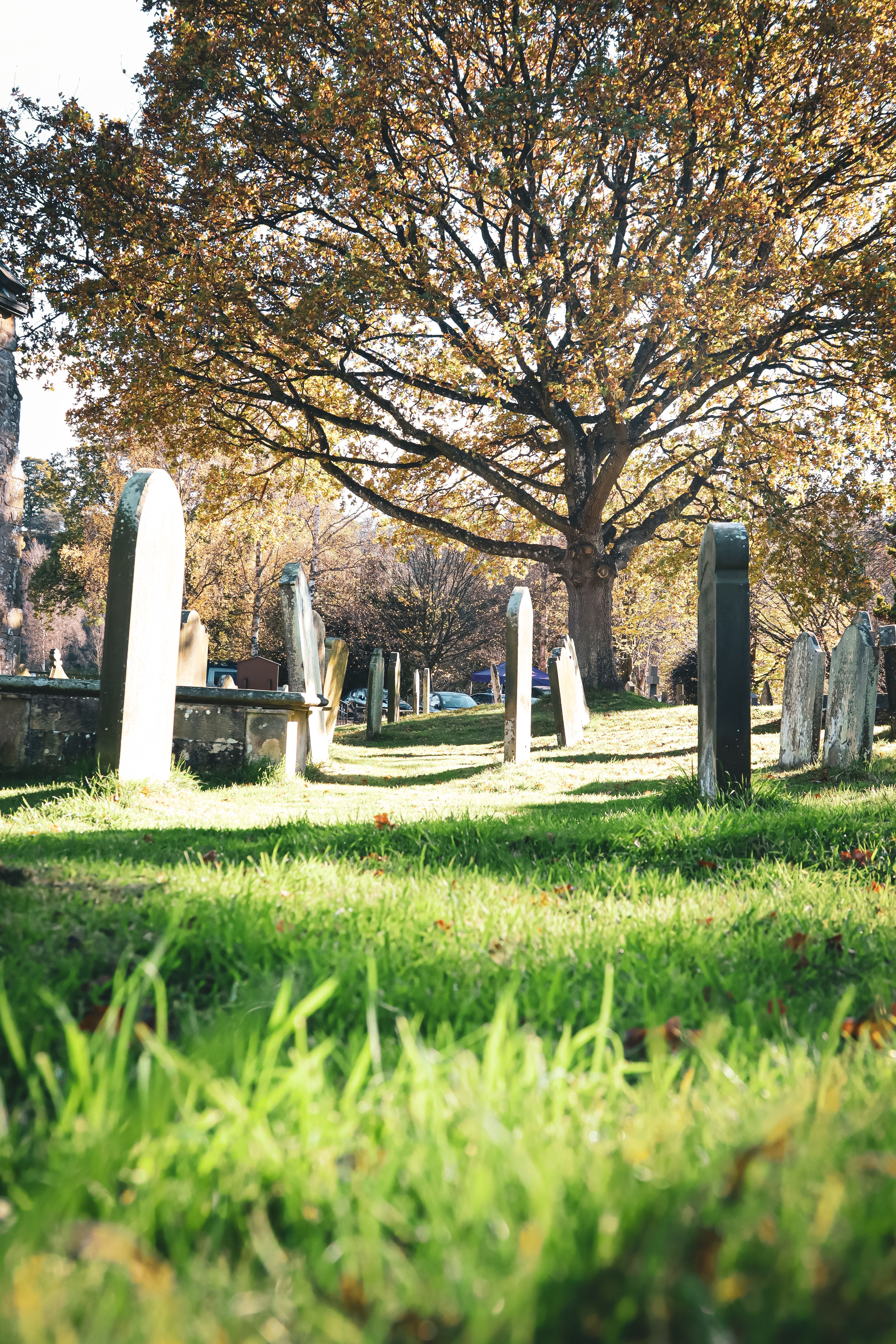 Serene Autumn Churchyard with Old Gravestones · Free Stock Photo