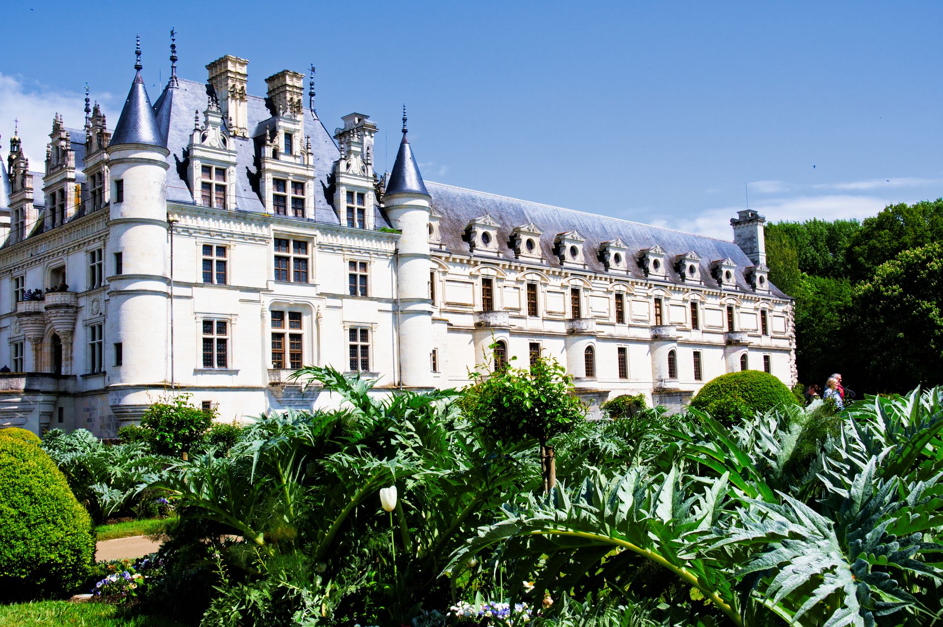 Capture of Château de Chenonceau's Renaissance architecture and vibrant gardens in France