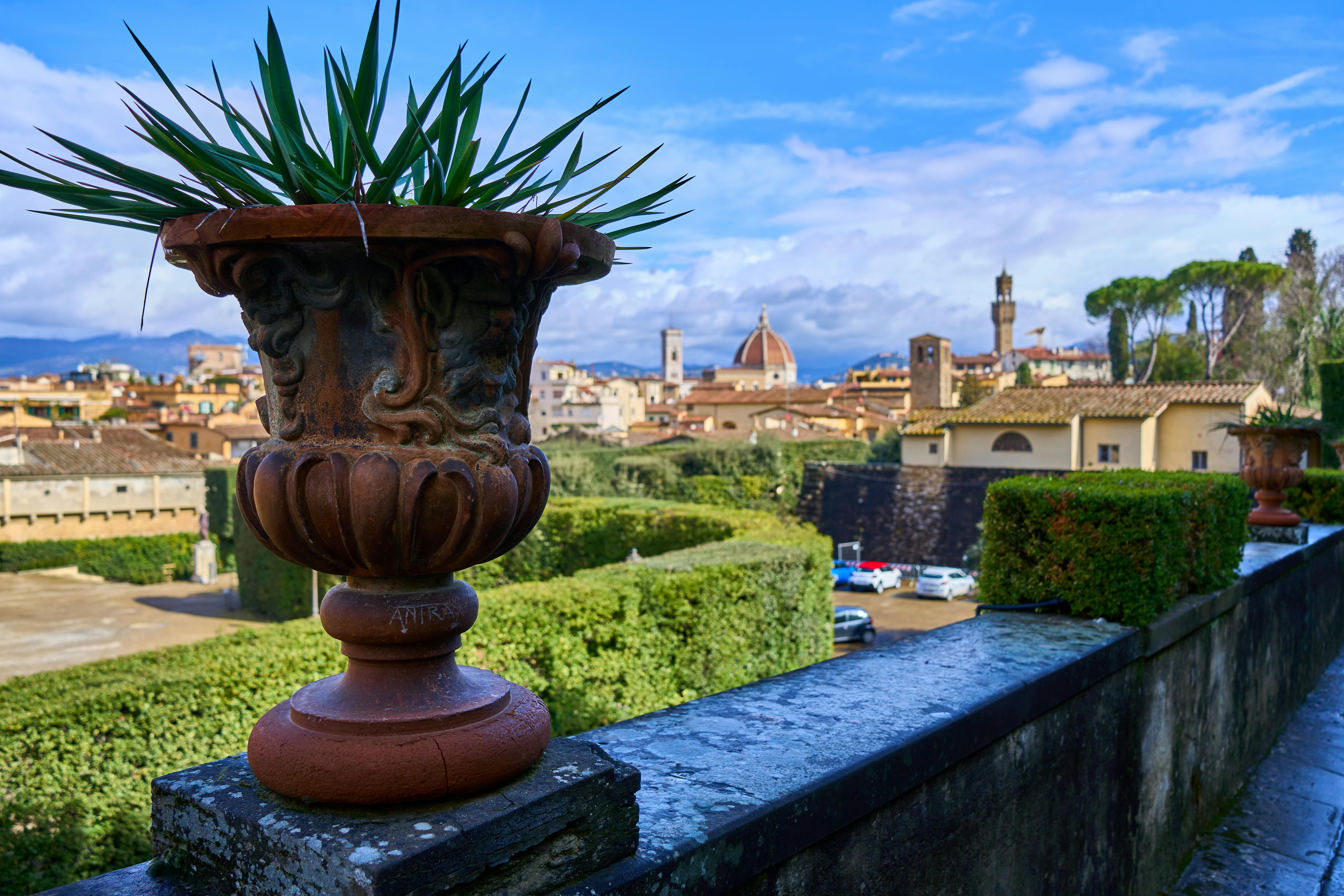 Bardini Garden's terraced lawns — Florence's quietest panorama.