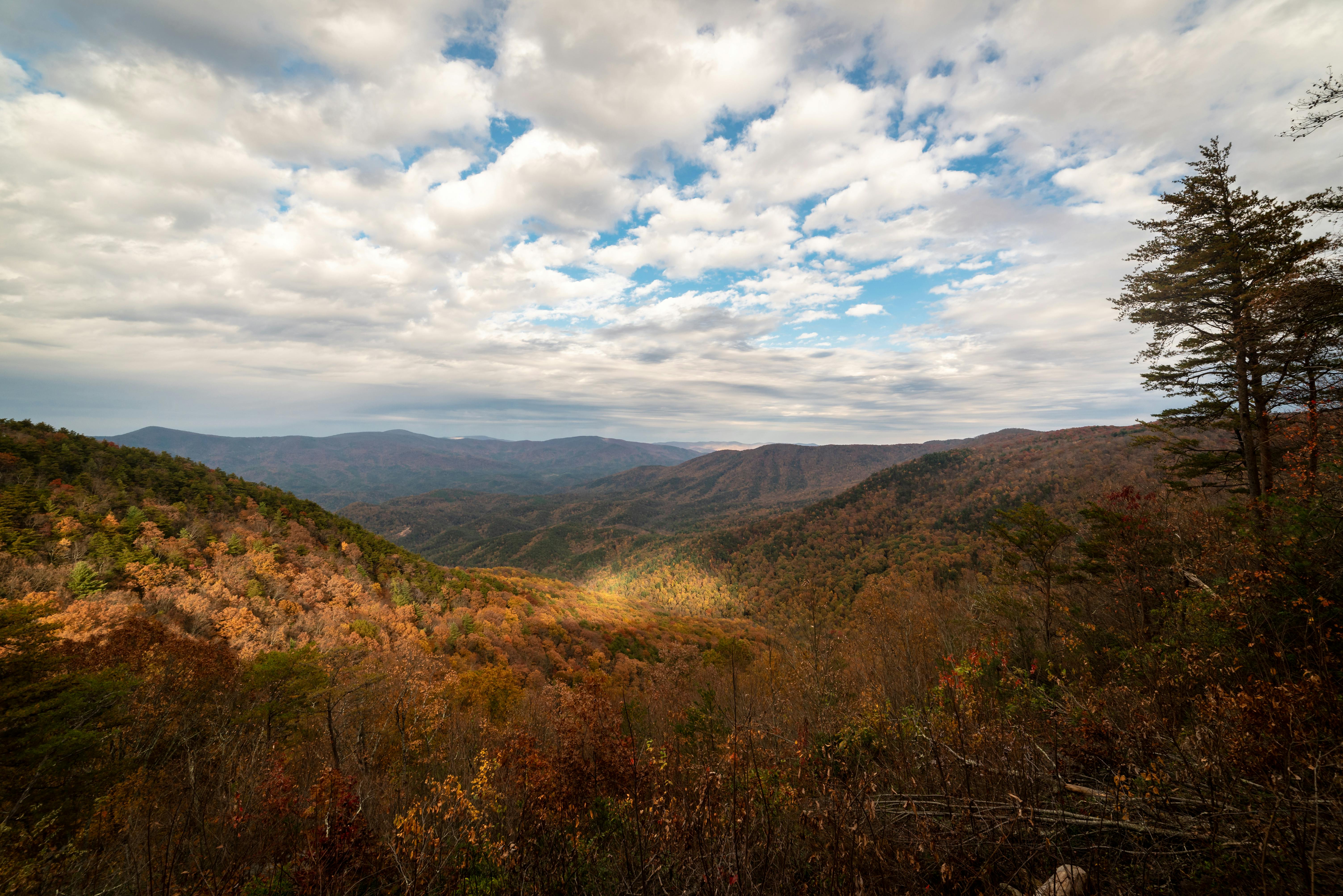 Asheville Forecast: Warm Weekend, Rain Mid-Week, Flood Watch Possible