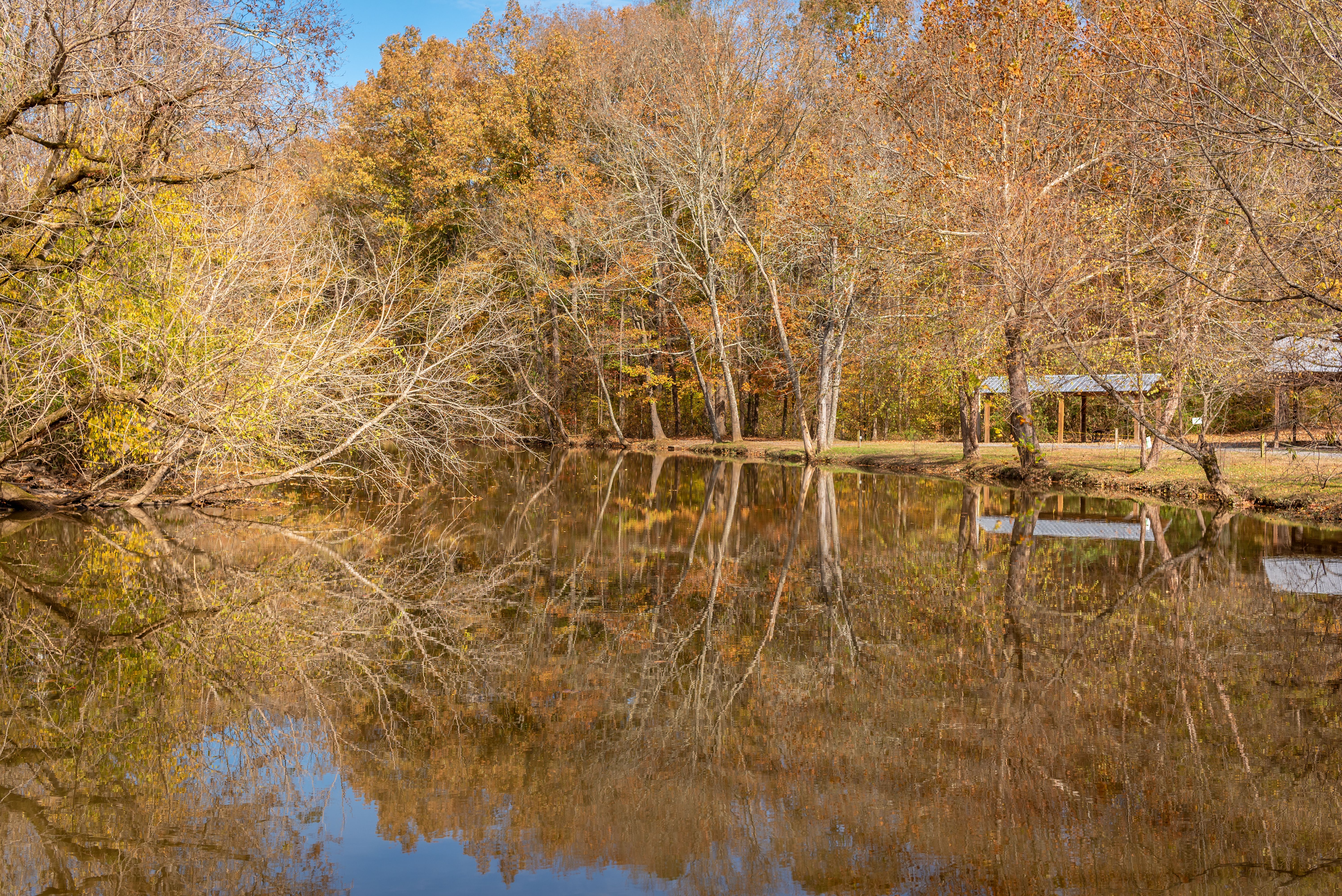 Harford County Parks and Recreation Day | PHOTOS — Photo by Dominik Gryzbon on Pexels
