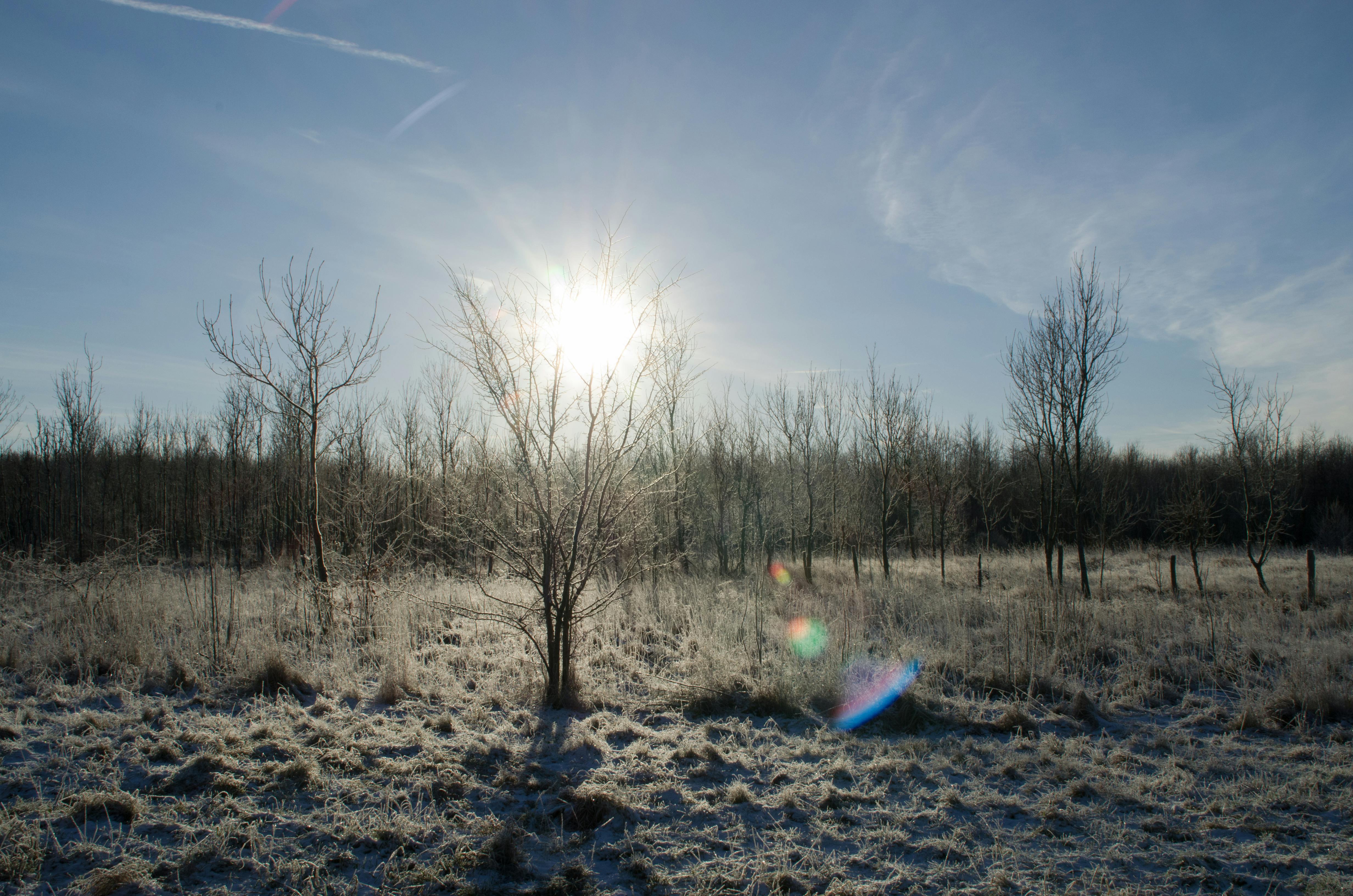 Free stock photo of aarhus, cold, denmark