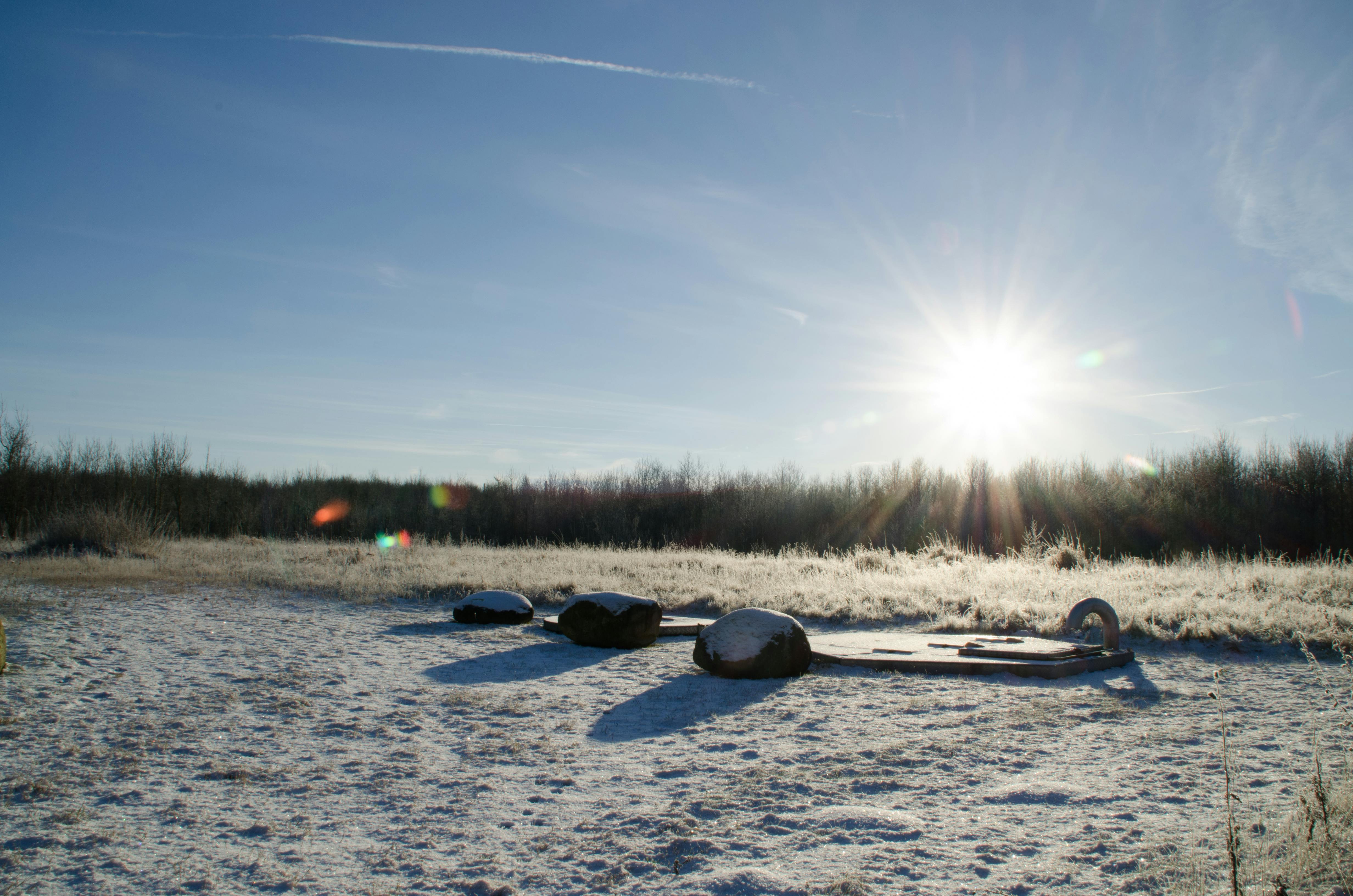 Free stock photo of aarhus, cold, denmark