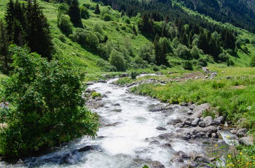 Free A vibrant mountain stream flows through a lush green forest, offering a serene natural landscape. Stock Photo