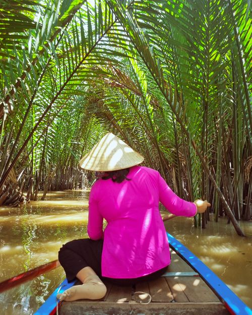 Free Woman rowing through lush palms in the Mekong Delta, Vietnam, on a traditional wooden boat. Stock Photo
