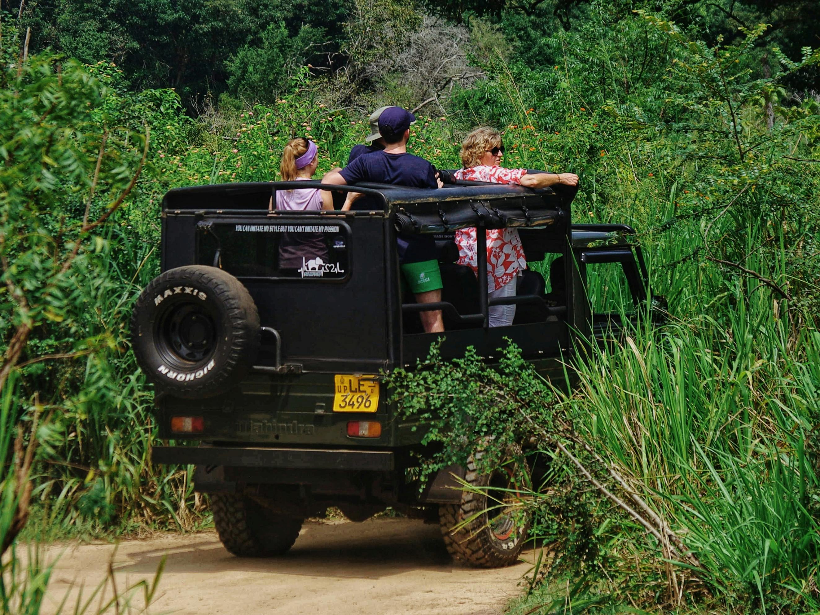 Pengalaman Berpetualang Safari
