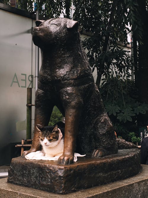 🐕 Hachiko Statue 2025: Location, Access, Full Story & Photo Tips