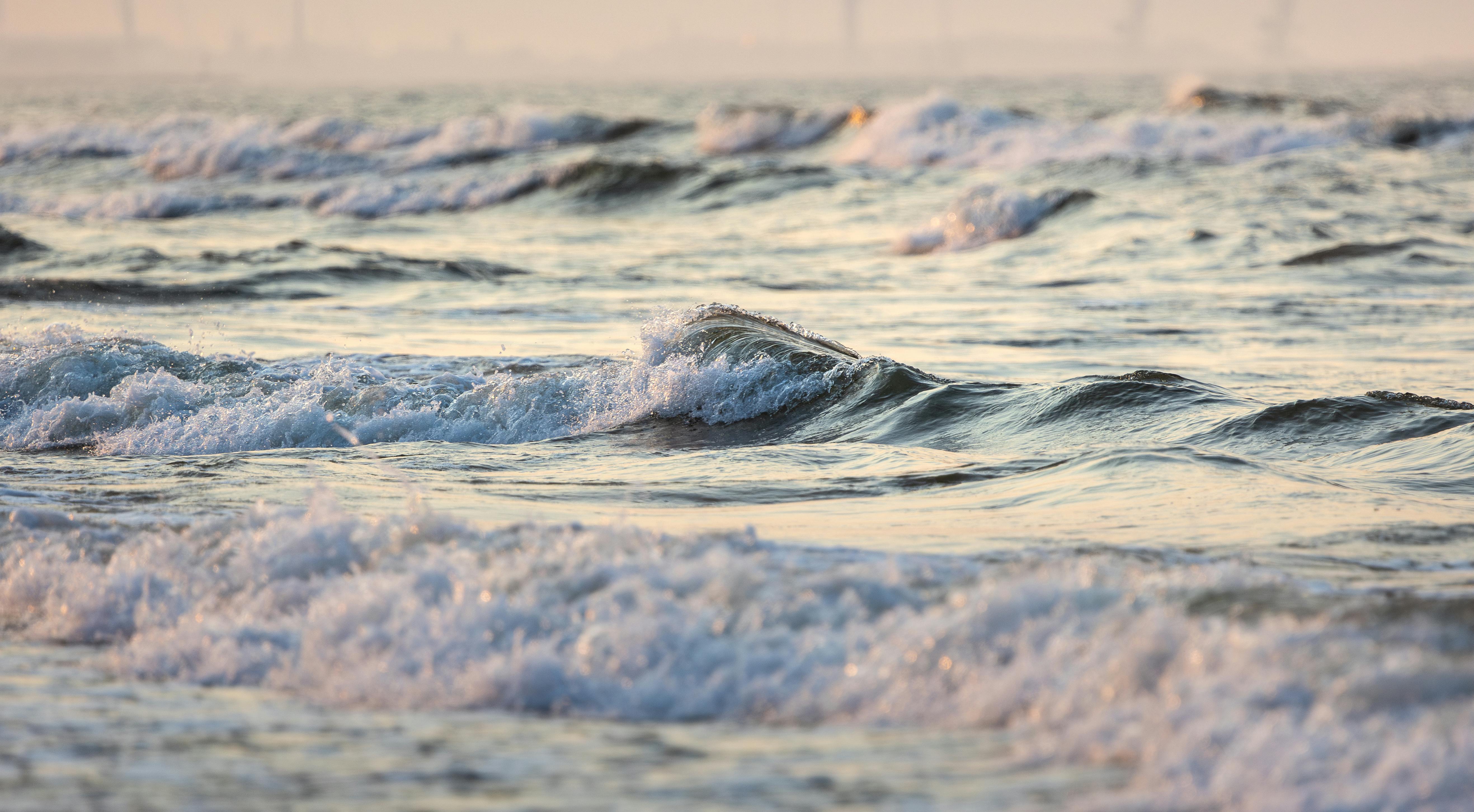 climate resilience, sea level rise, drought mitigation, ecosystem restoration, climate policy, Climate adaptation — Photo by 