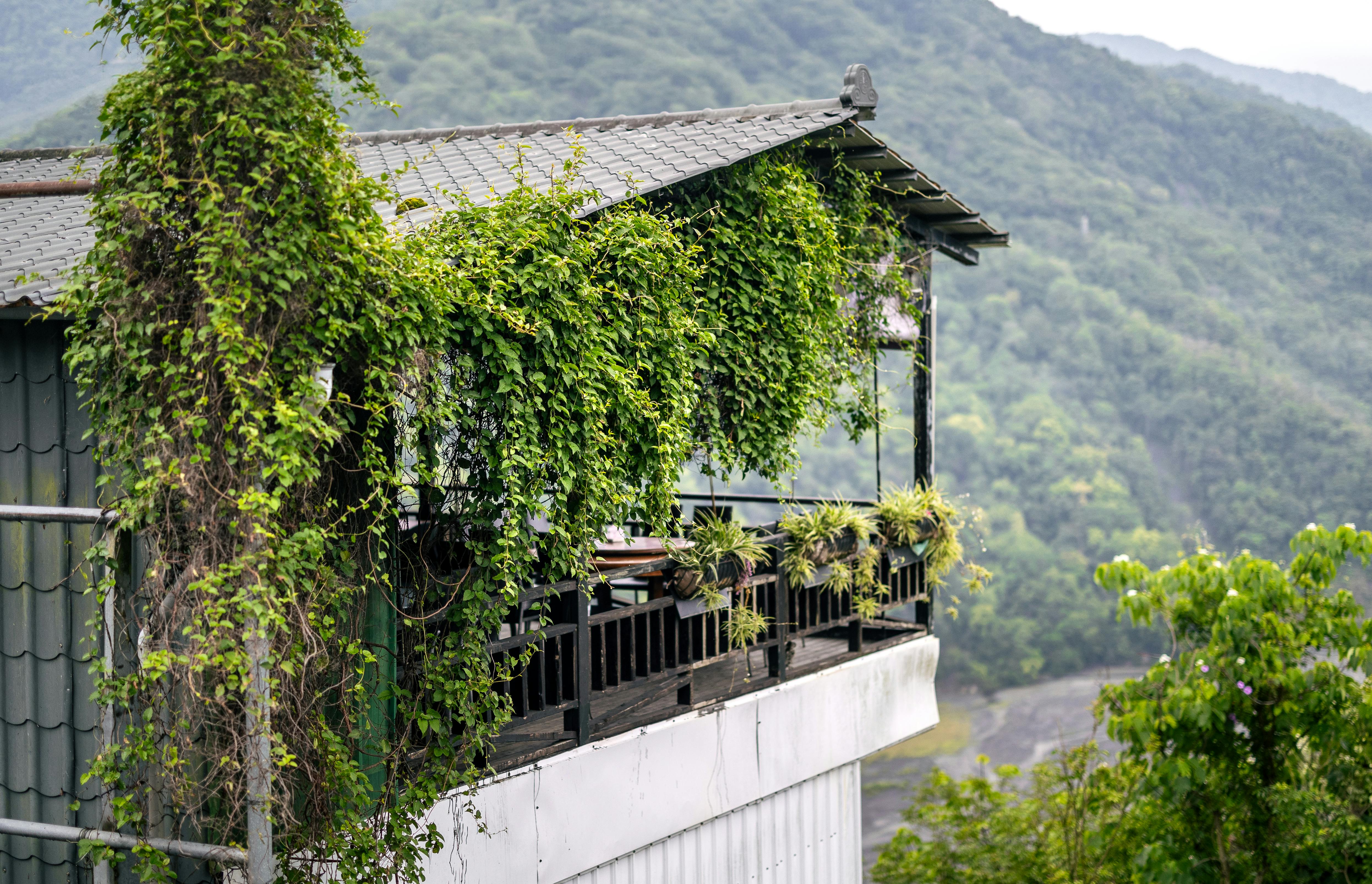 Restaurant Brands國際業績亮眼，Tim Hortons與海外市場成長強勁