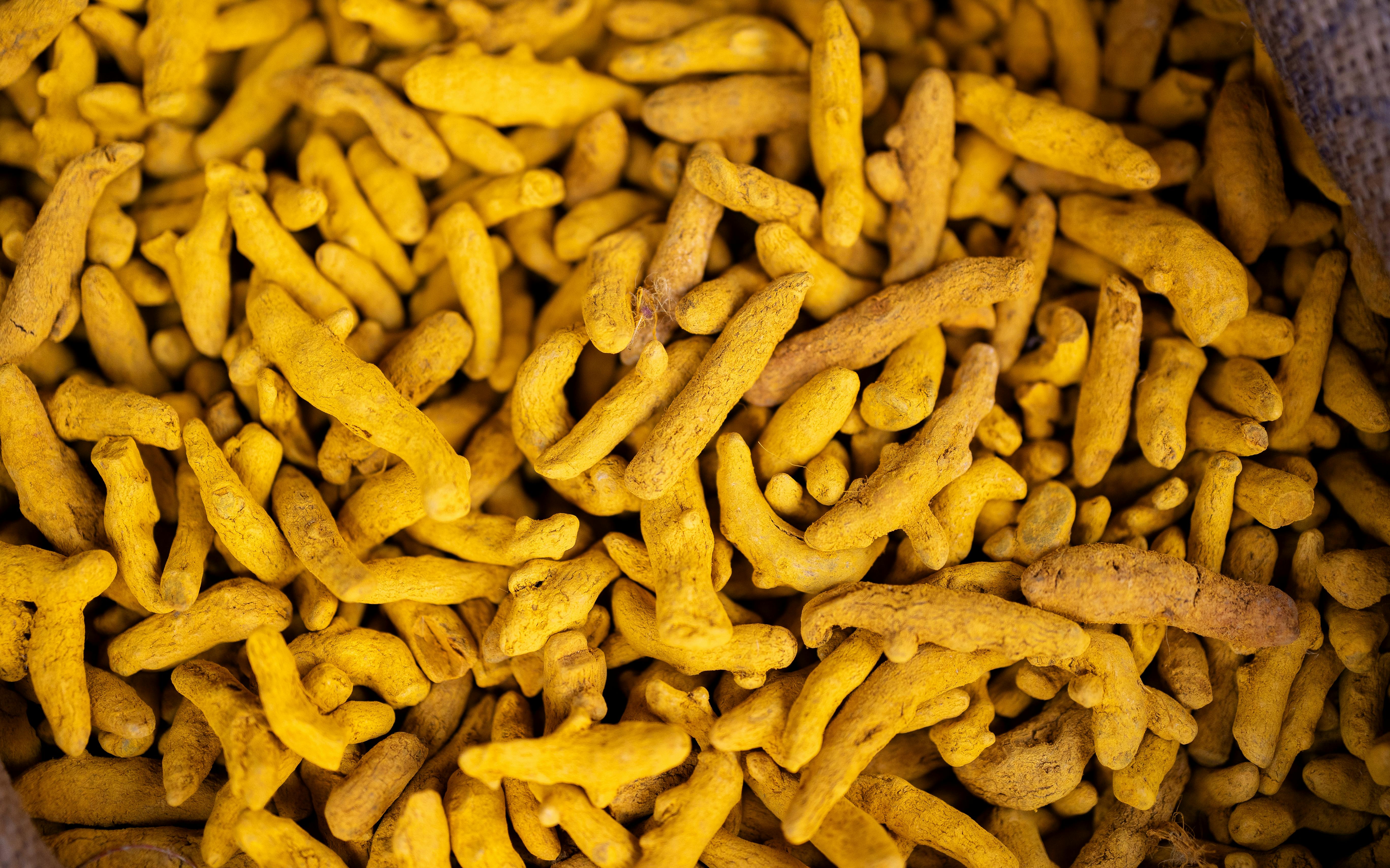 Turmeric Fingers