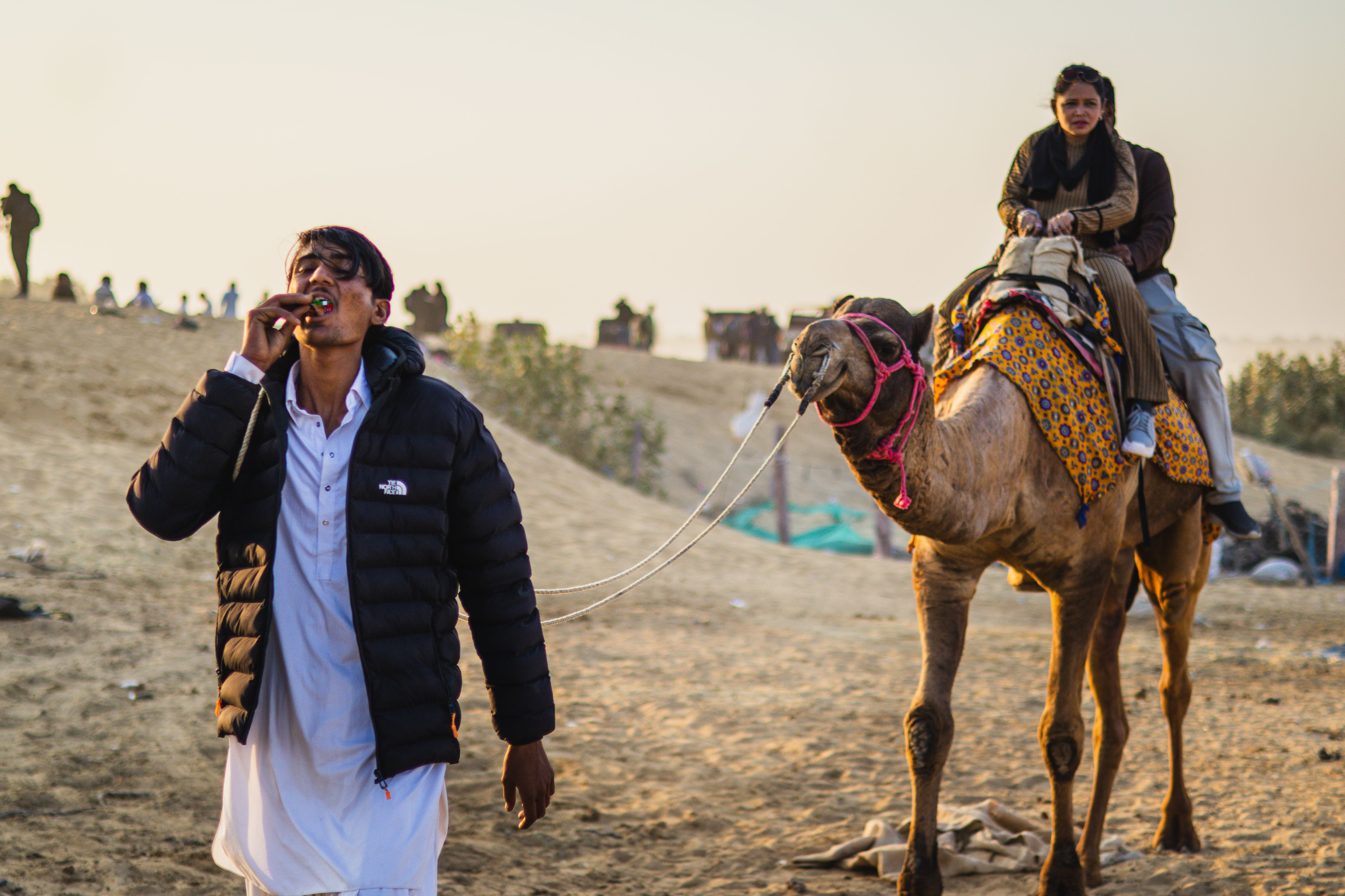 A man leads a camel with riders through a desert during sunset.