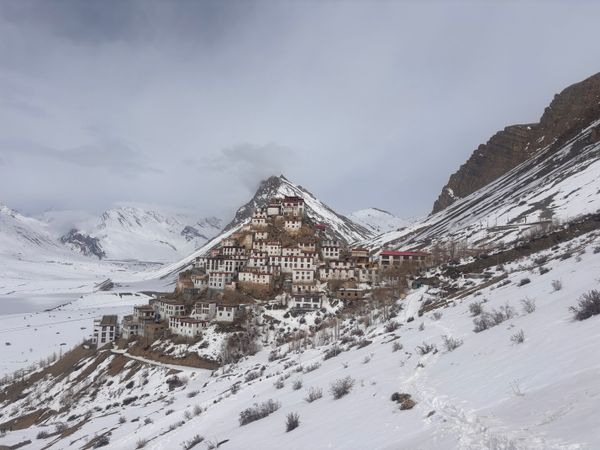 Key Monastery Spiti Valley