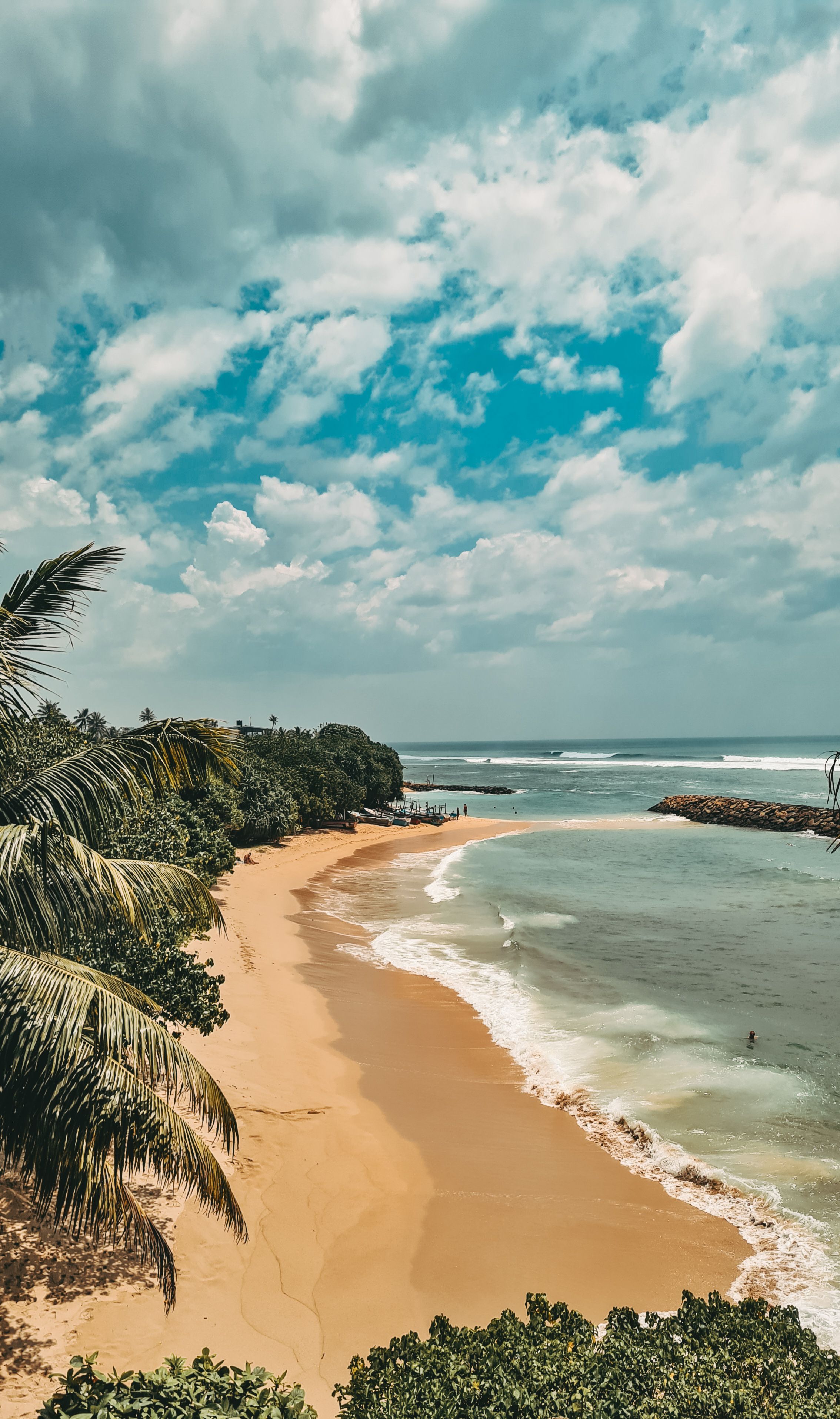 Tropical Beach with Palm Trees in Sri Lanka · Free Stock Photo