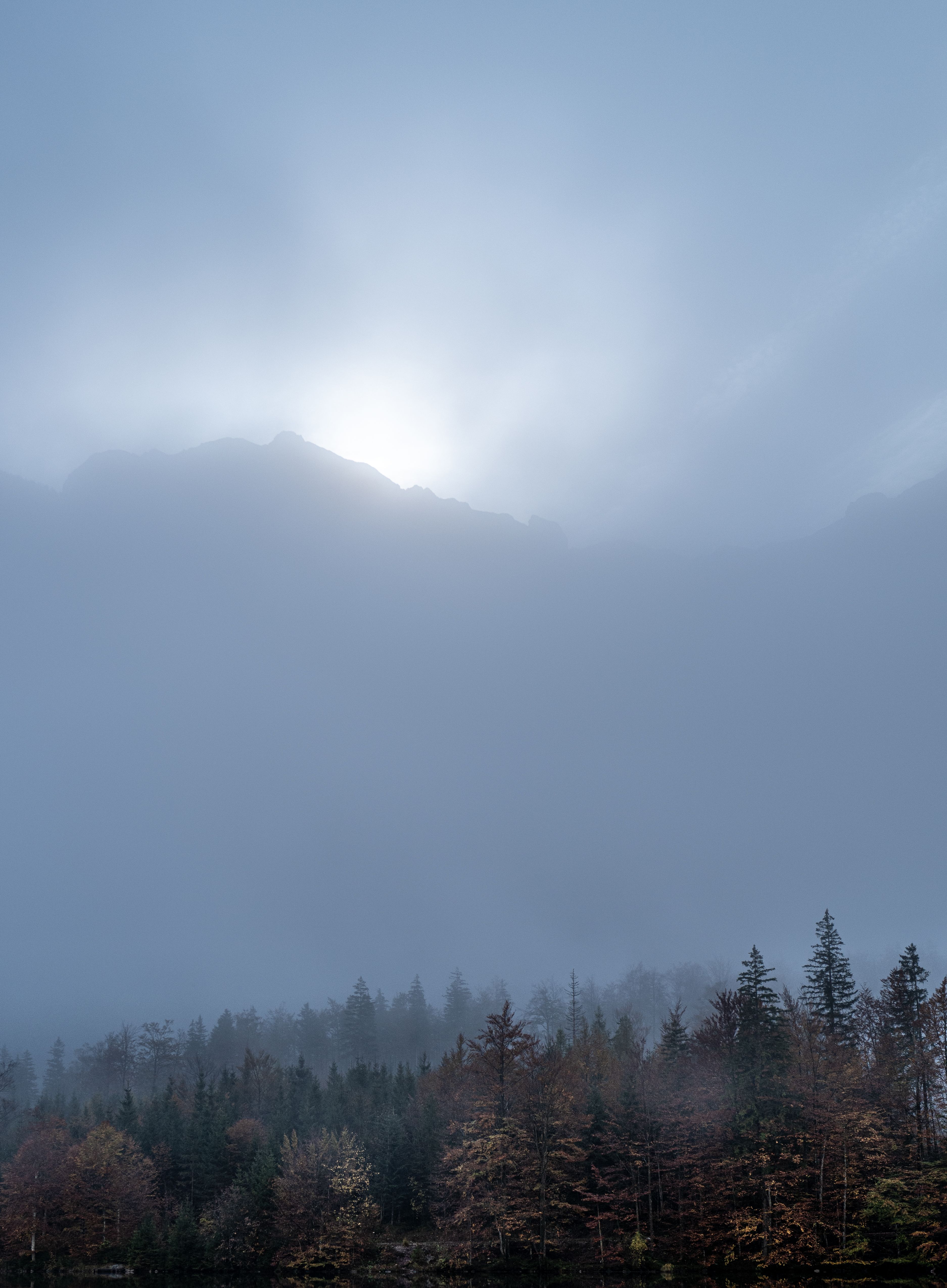 Misty Forest Landscape with Fog and Mountains · Free Stock Photo