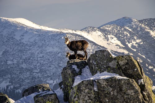 Mountain Weather Survival Basics