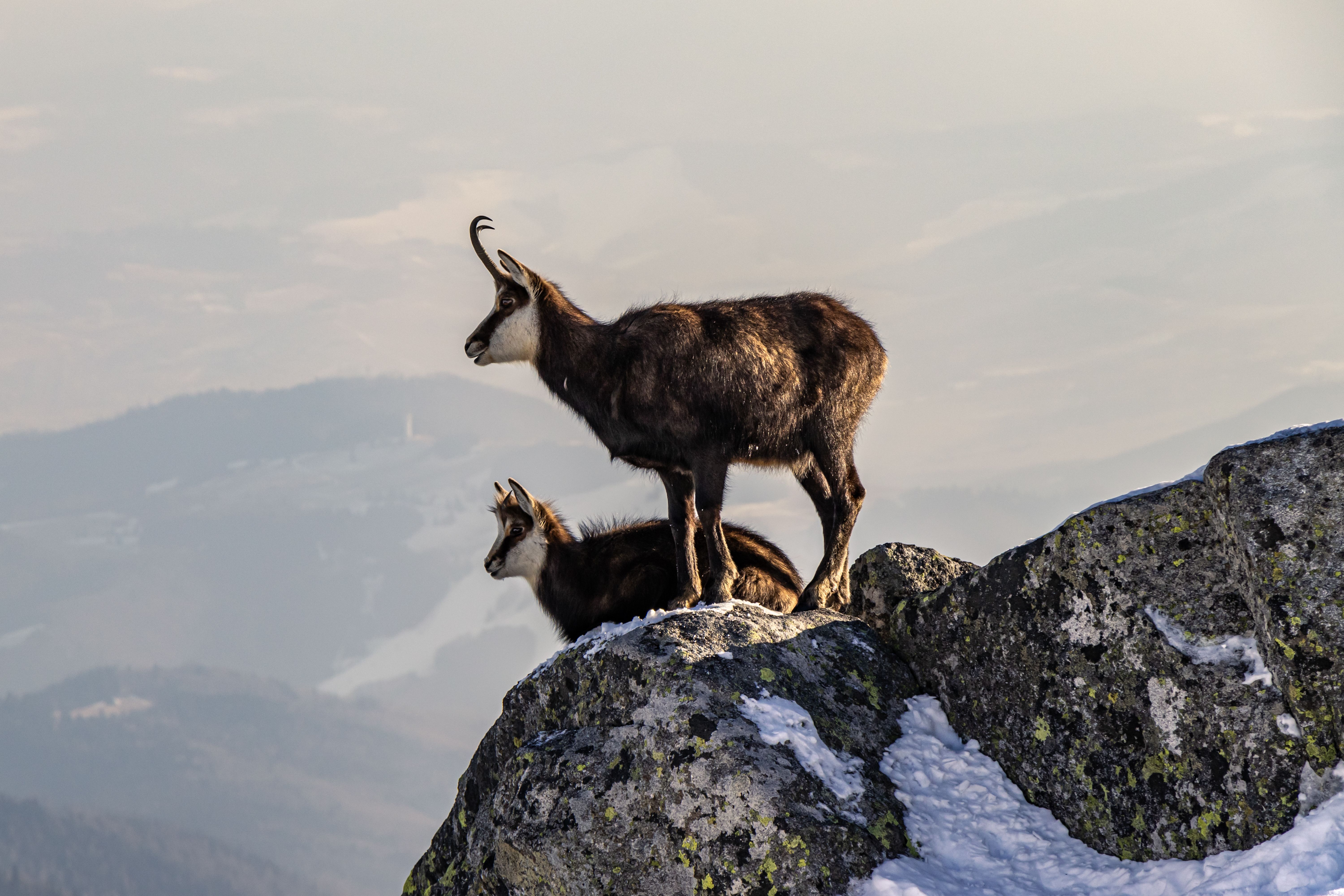 Capricorn Sun Sign: Ambition, Discipline, and Hidden Depth