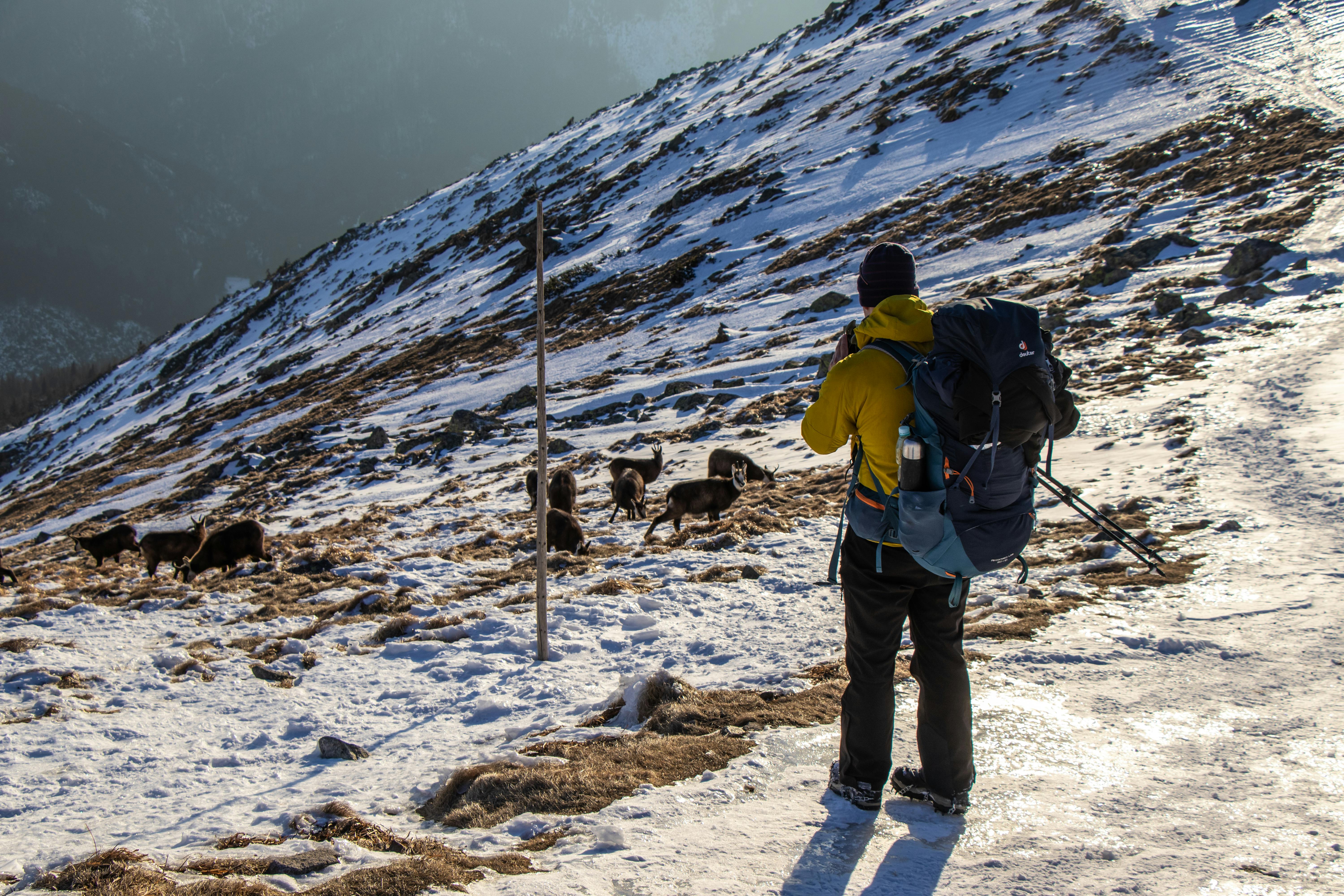 gear reviews gear ratings — Photo by Jędrzej Koralewski on Pexels