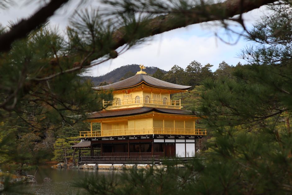 Kinkaku-ji, the Golden Pavilion, framed by pines in Kyoto