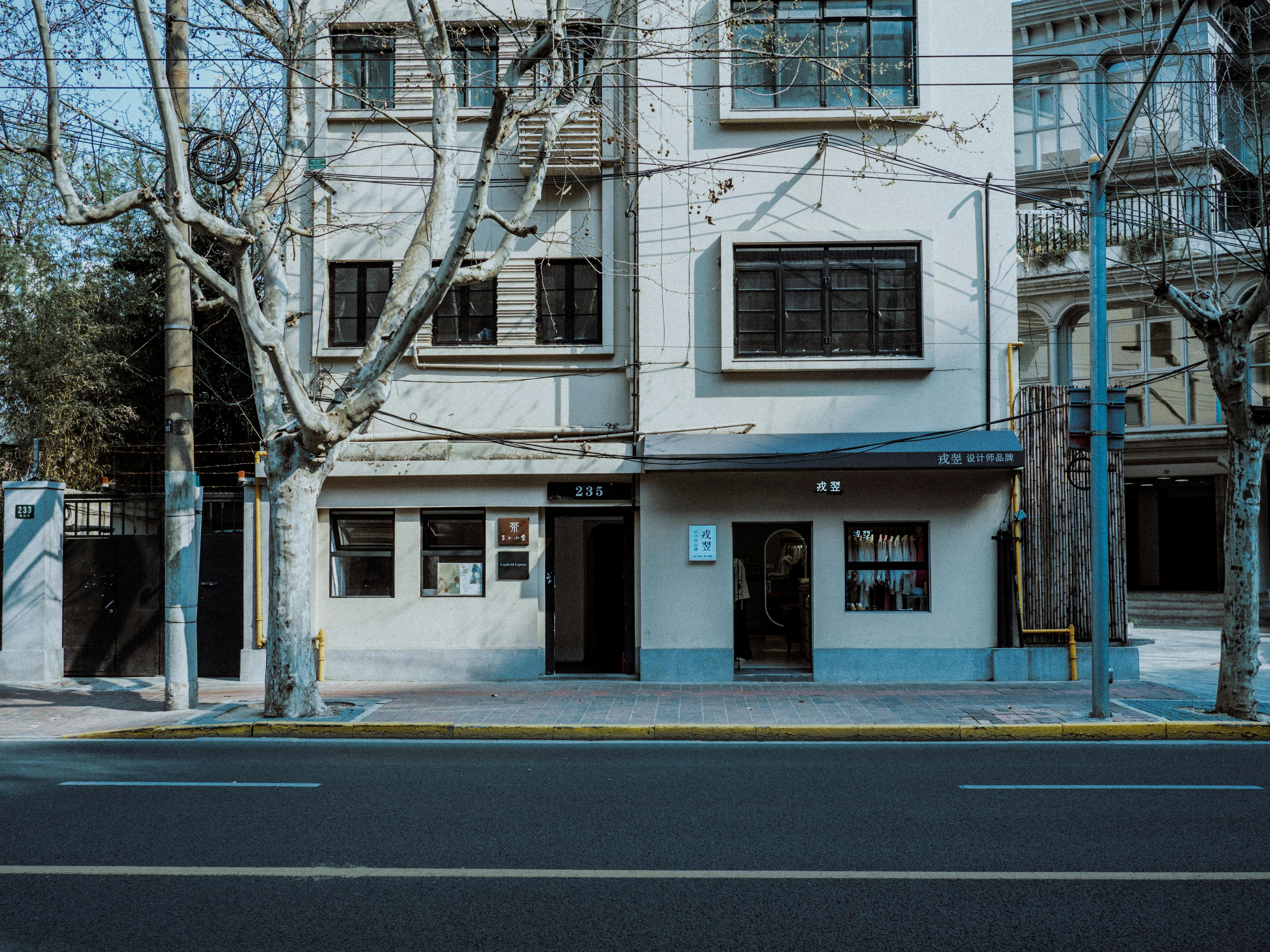 Δωρεάν Άποψη αστικής οδού ενός ιστορικού κτηρίου με άφυλλα δέντρα το χειμώνα. Φωτογραφία από στοκ φωτογραφιών