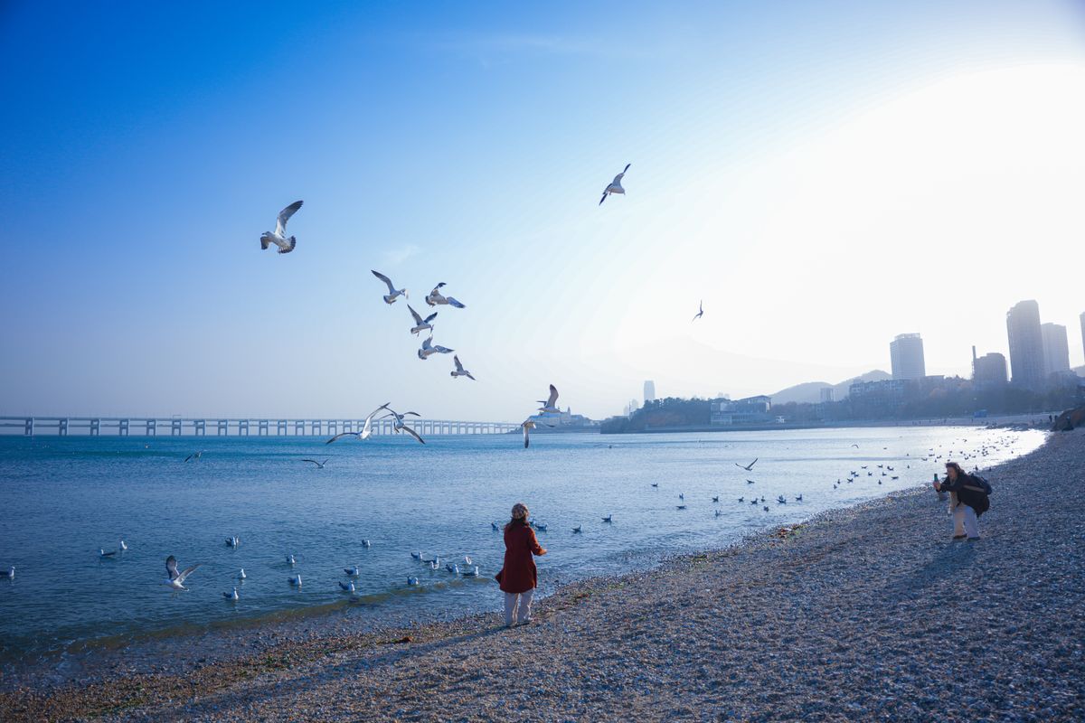Visitors enjoying a sunny day on a Qingdao beach with the city skyline and seagulls in the background