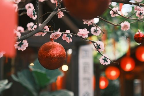 Free Red ornament hanging on a cherry blossom branch, creating a warm festive atmosphere. Stock Photo