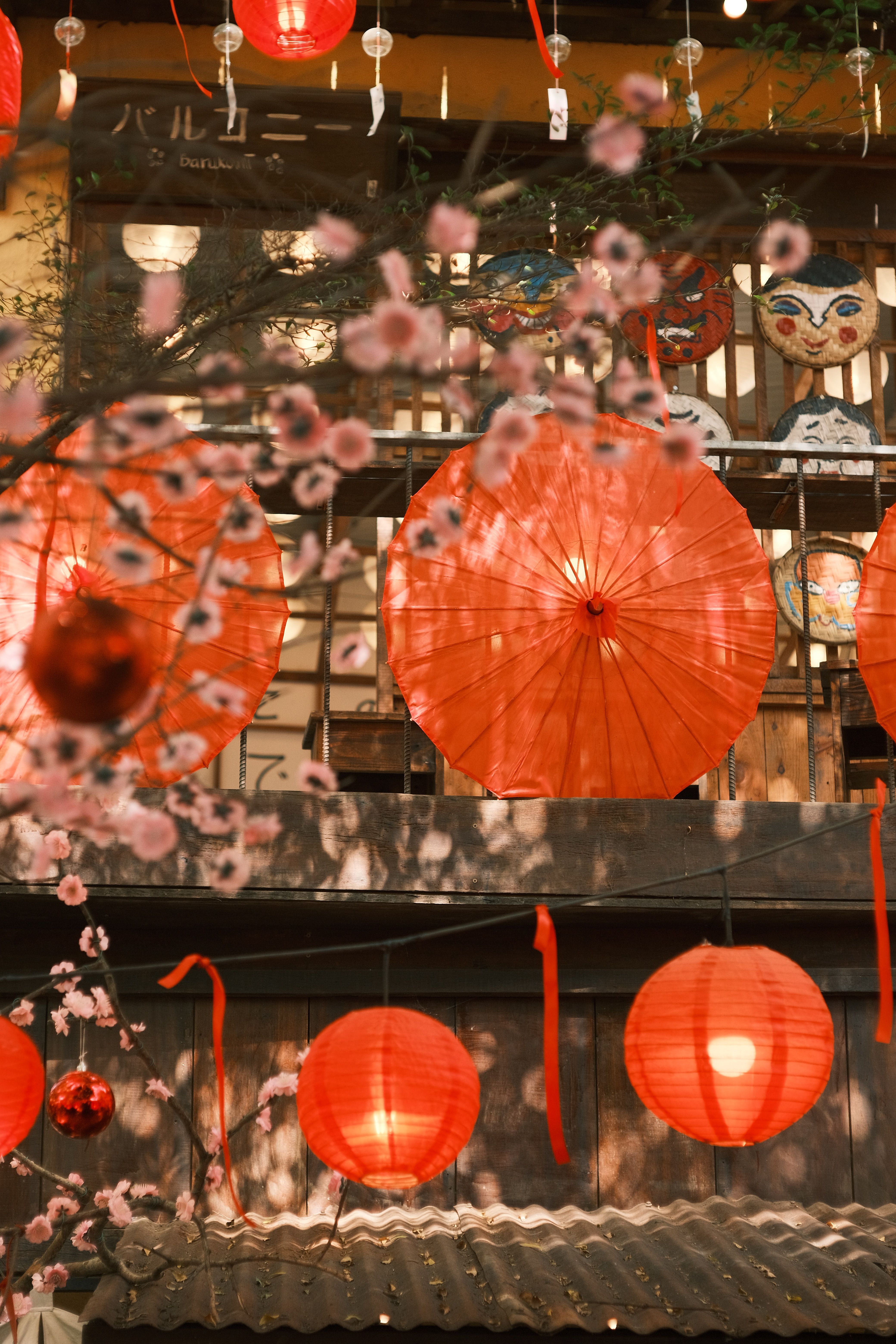 Vibrant Cherry Blossoms and Red Lanterns Festival · Free Stock Photo