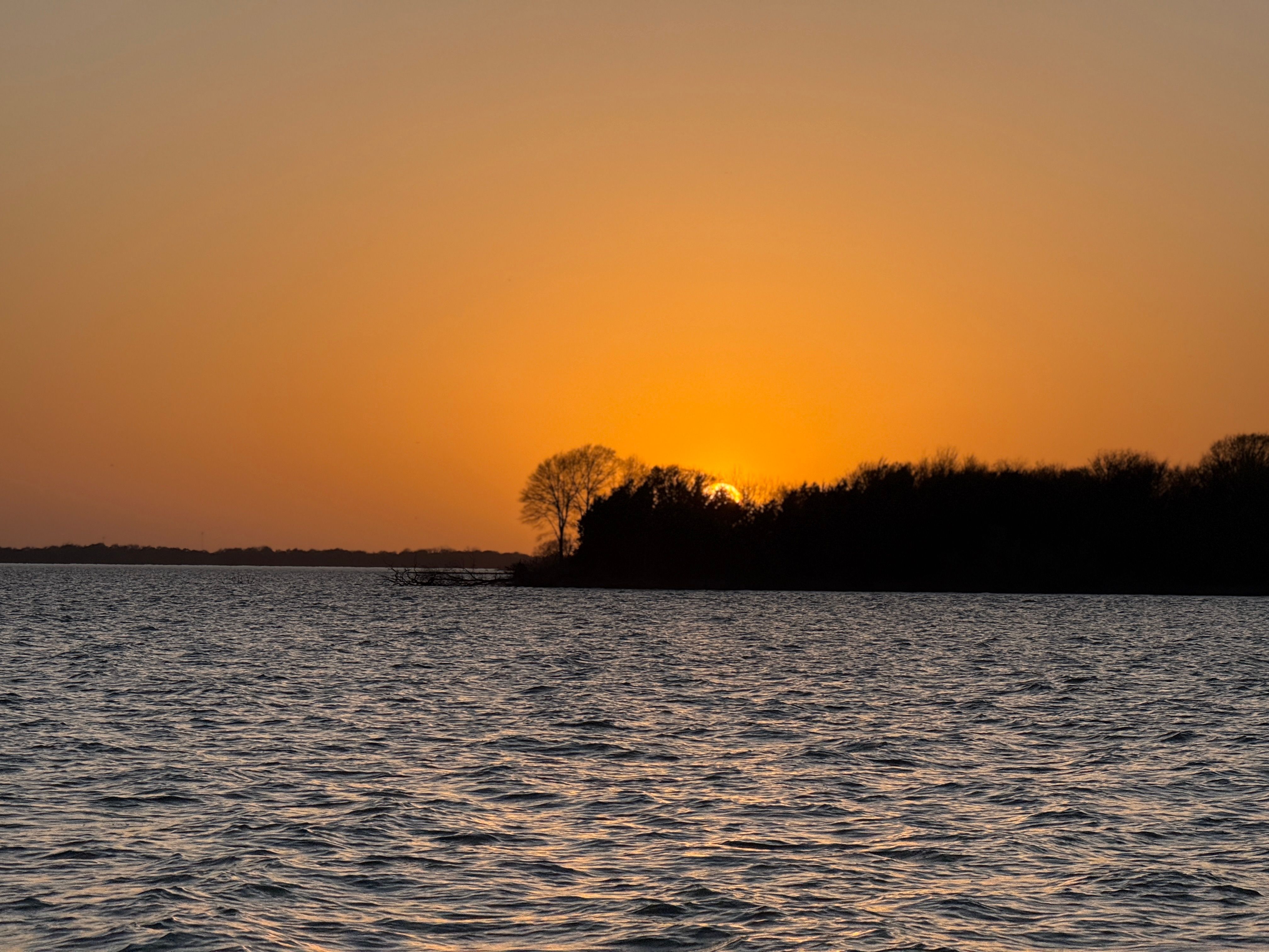 Serene Lake Sunset with Silhouette Tree · Free Stock Photo