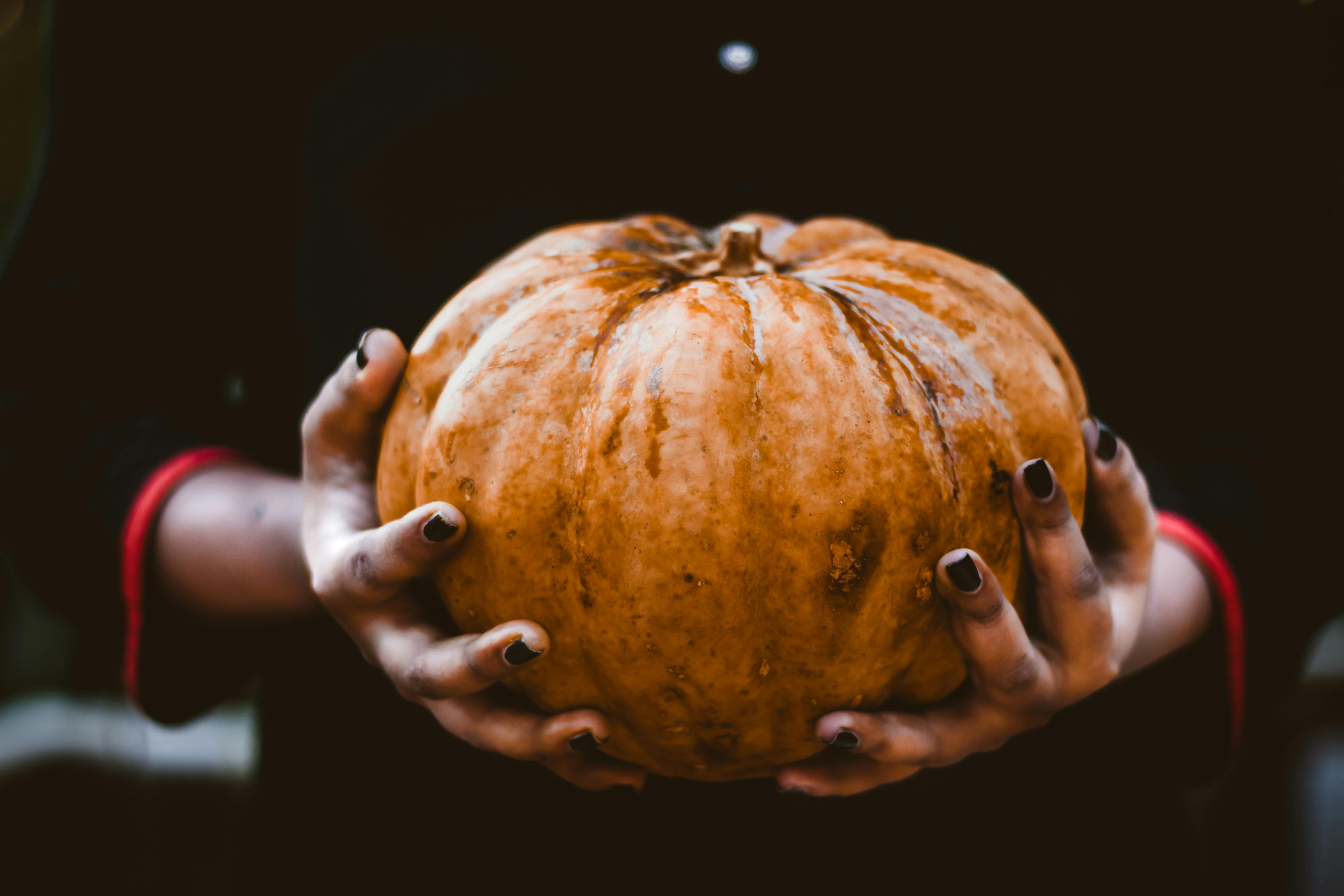 Shallow Focus Photo of Person Holding Orange Pumpkin · Free Stock Photo