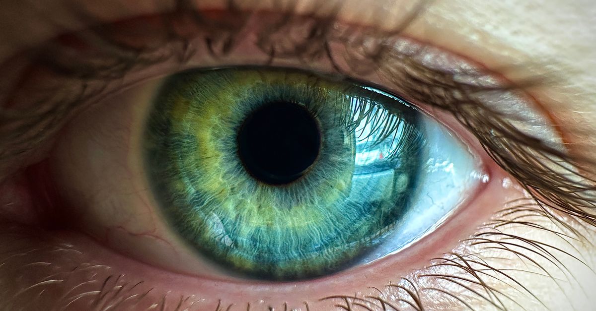 Rüyada Organ Nakli Olmak - Rüya Tabiri ve Anlamı - Detailed macro shot of a human eye showcasing vibrant blue-green iris and striking textures.