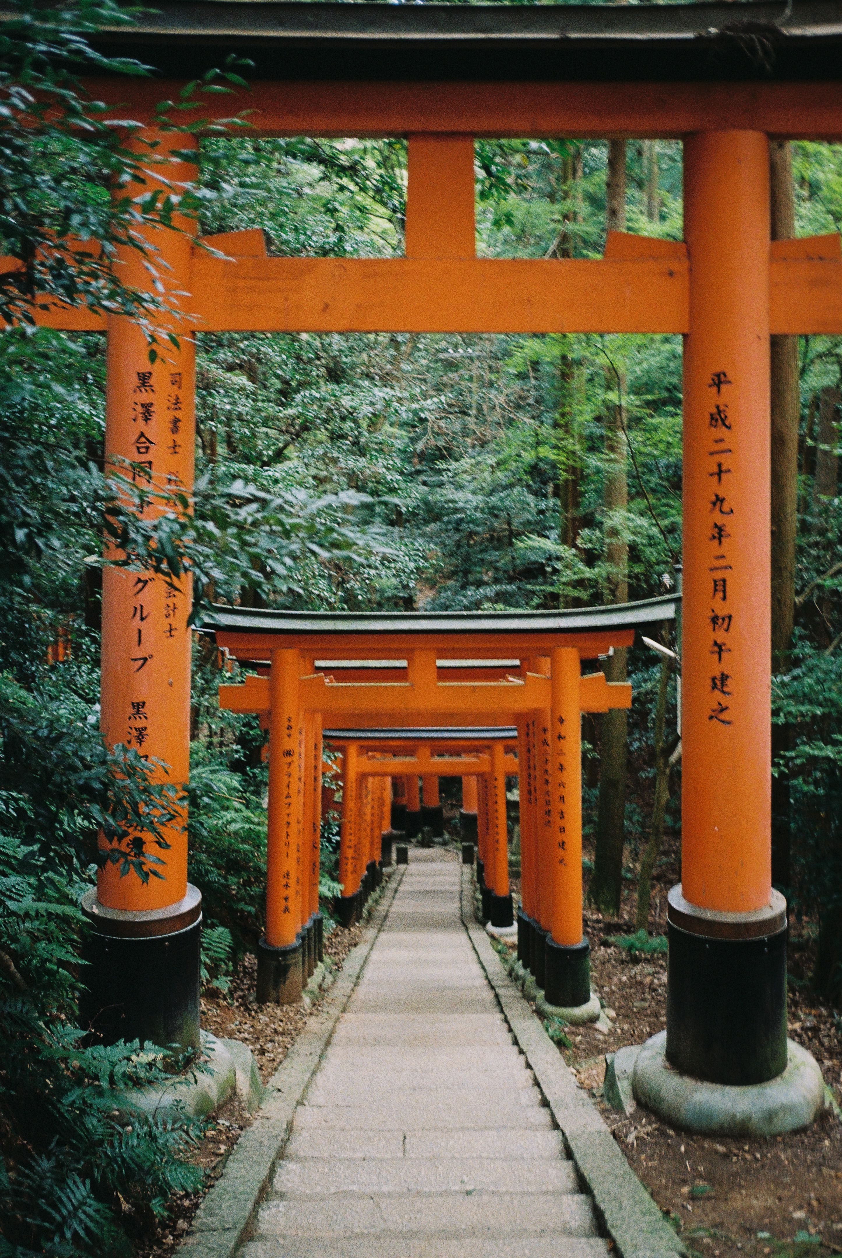 Serene Pathway through Fushimi Inari Shrine Torii · Free Stock Photo