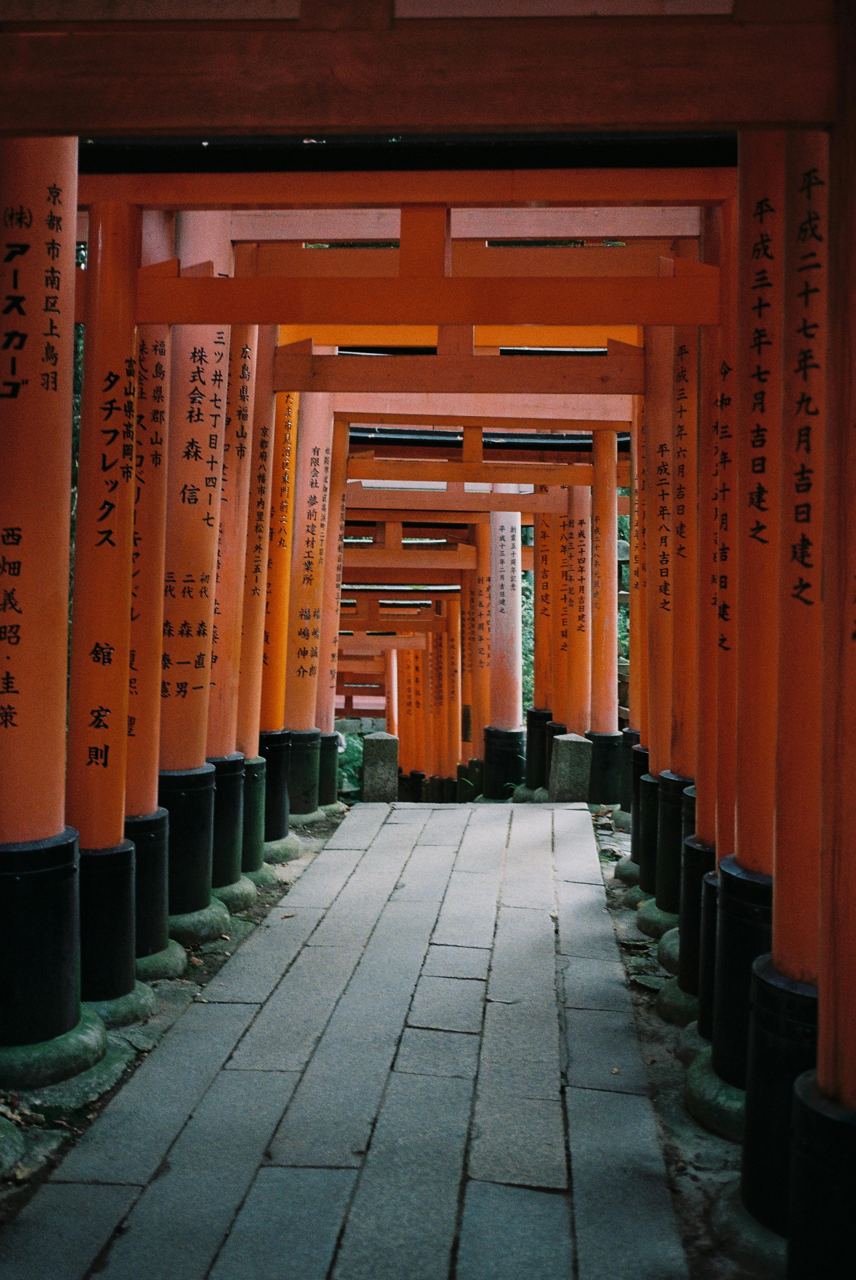 Orange torii gates create a mesmerizing pathway in Fushimi Inari, Kyoto, Japan.