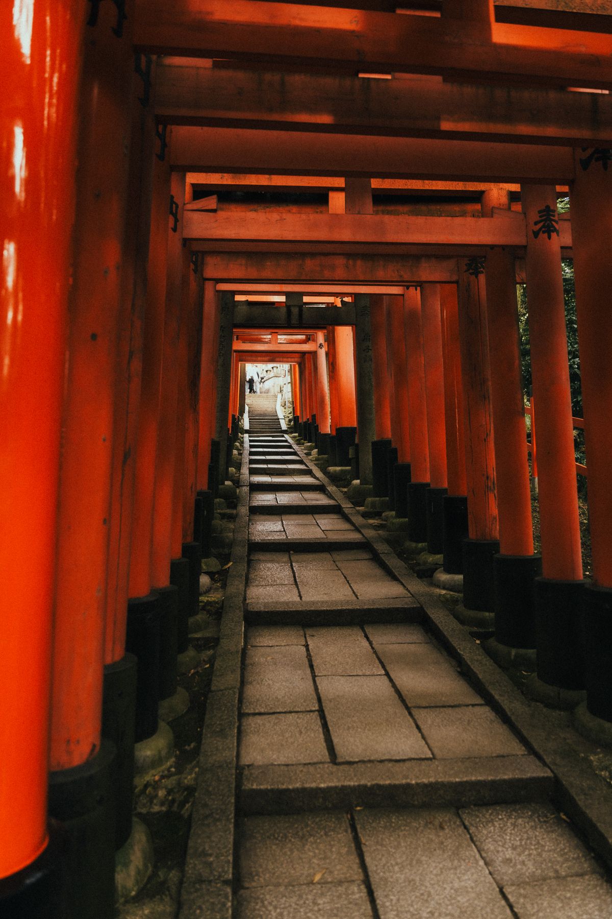 Red Torii Gate Pathway at Fushimi Inari Taisha · Free Stock Photo