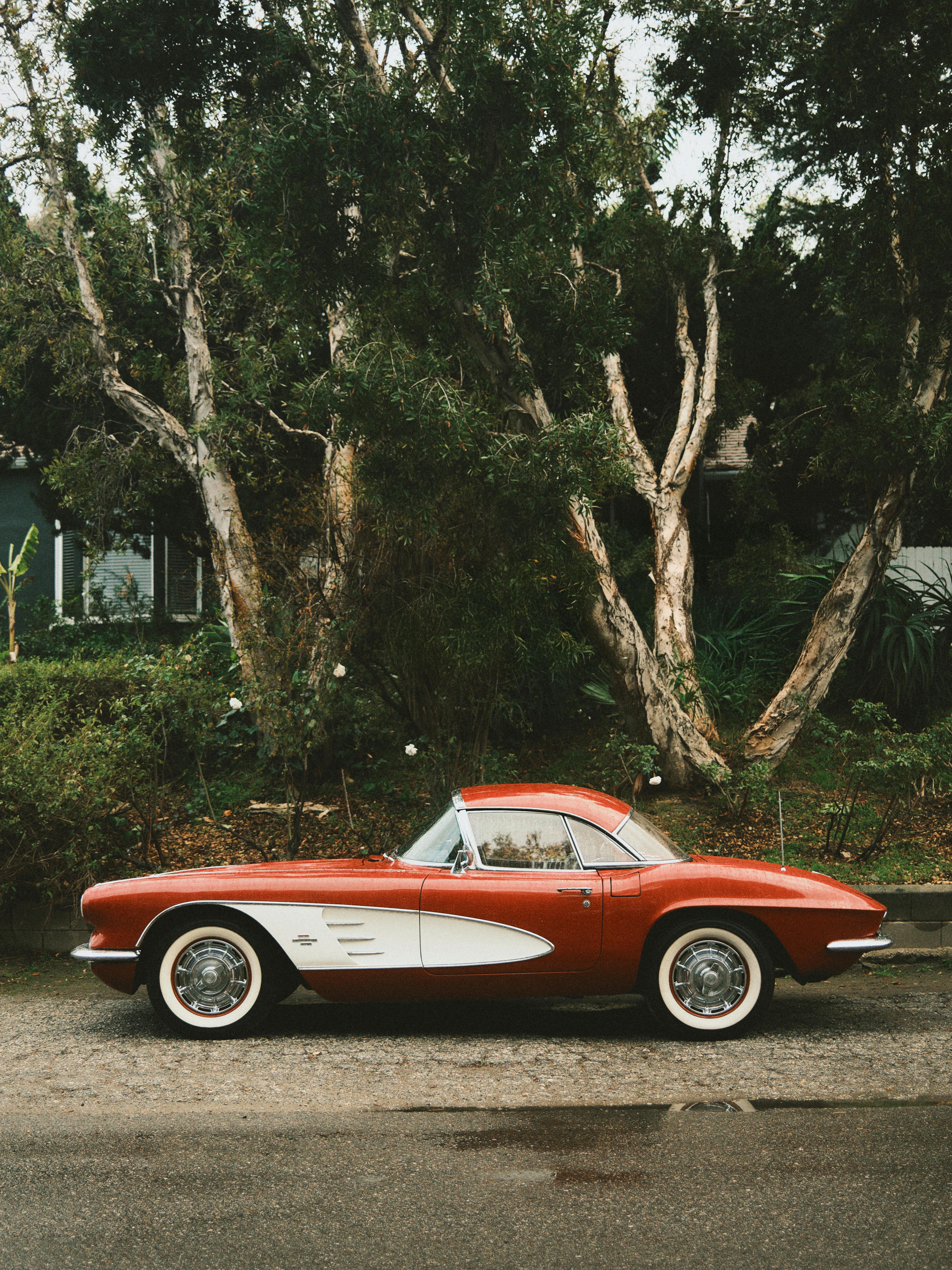 A stunning vintage red Corvette parked in a natural setting under tall trees.