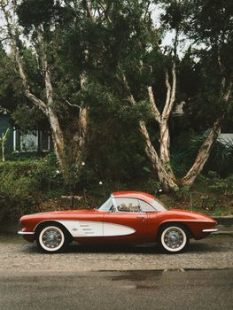 A stunning vintage red Corvette parked in a natural setting under tall trees.