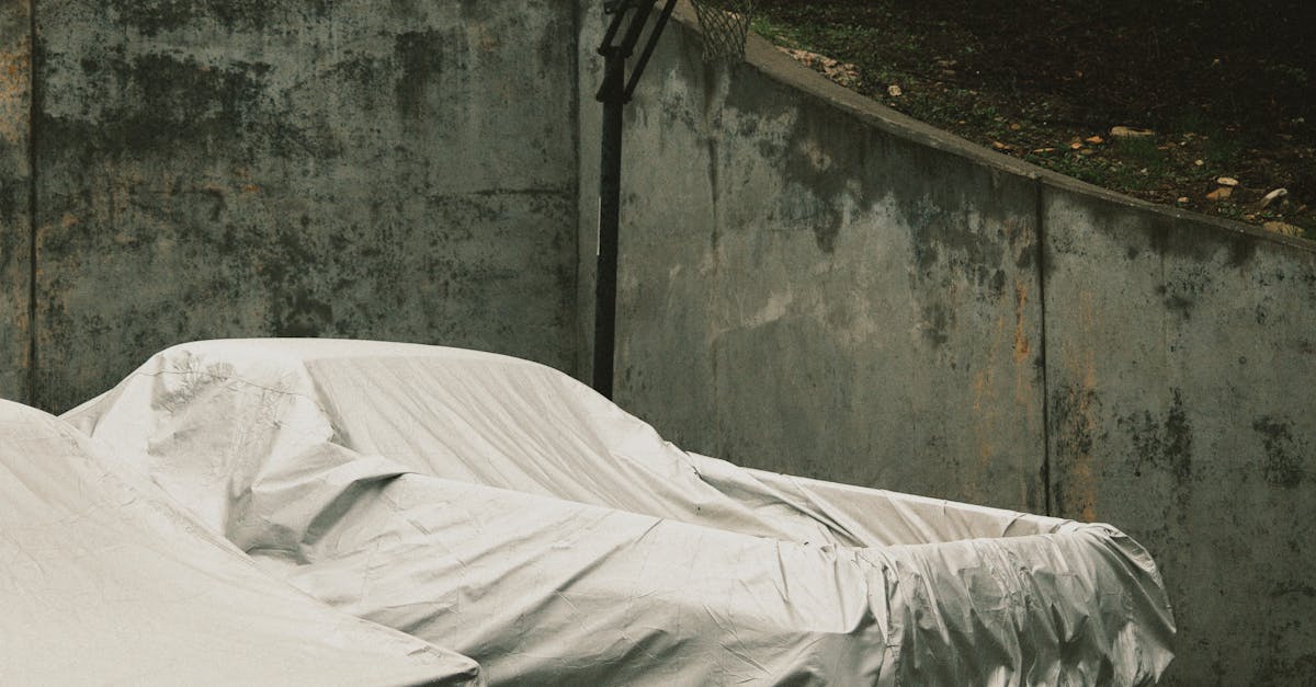 TPBL國際賽洗禮!林信寬再進化,展現全新實力