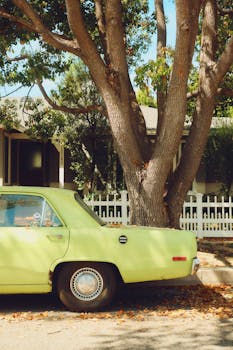 A retro green car parked on a residential street in Los Angeles, showcasing classic and nostalgic vibes.