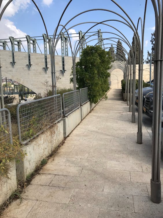 Preventing Common Fitness Injuries: Evidence-Based Strategies for a Safe and Effective Workout cover image