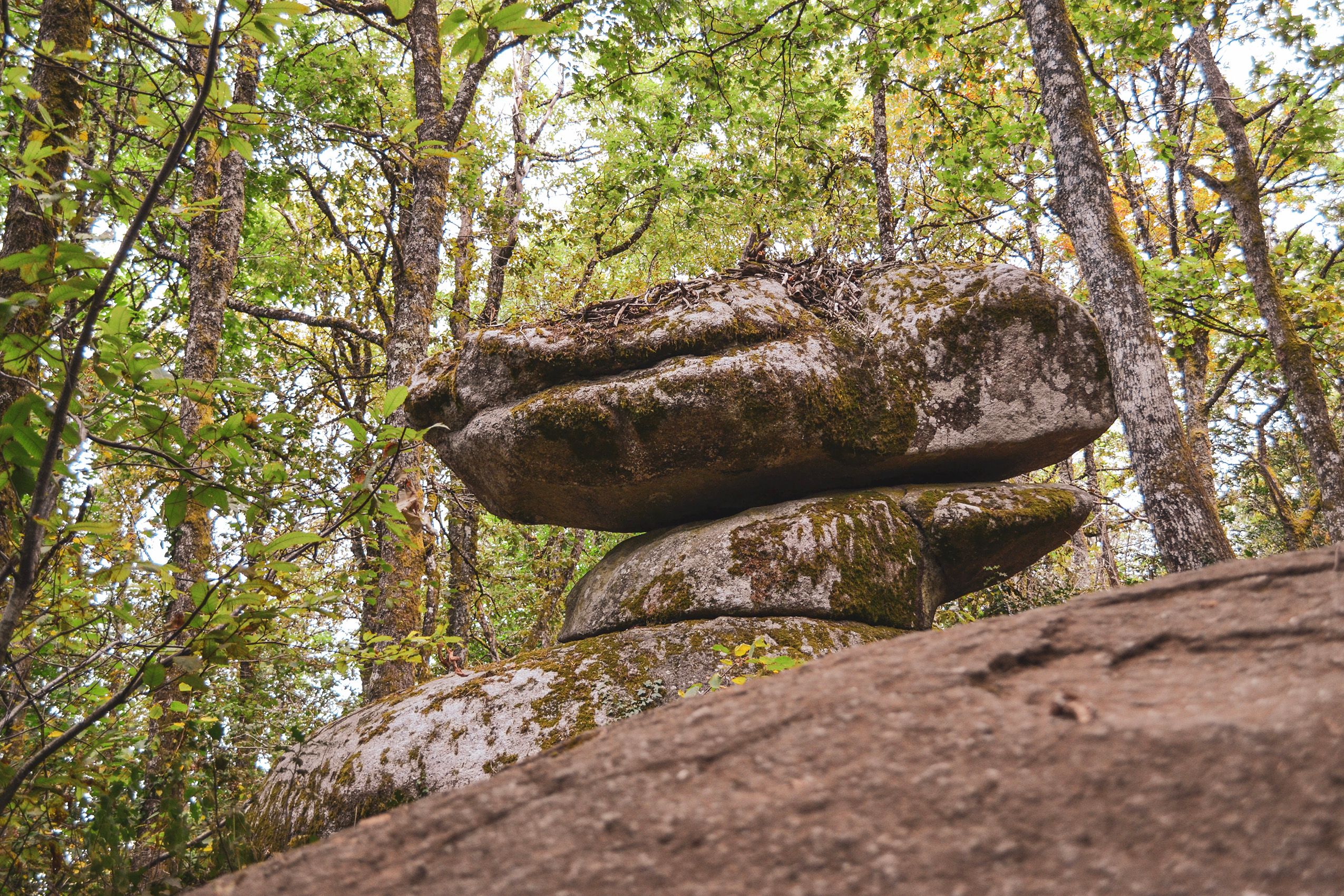 Le Secret des Pierres qui Murmurent dans la Vallée des Anciens : Quand les Rochers Révèlent des Voix