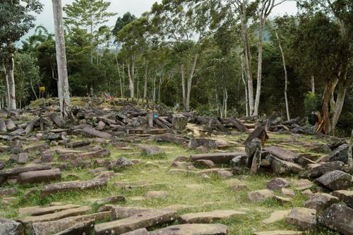 Free Explore scattered ancient stone ruins set amidst a vibrant, dense forest. Stock Photo