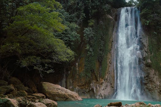 A tranquil waterfall cascades into a turquoise pool surrounded by lush greenery.