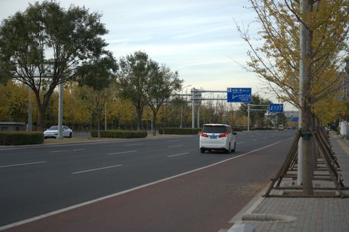 Free A quiet urban road with cars during fall, showcasing trees with yellow leaves and clear skies. Stock Photo