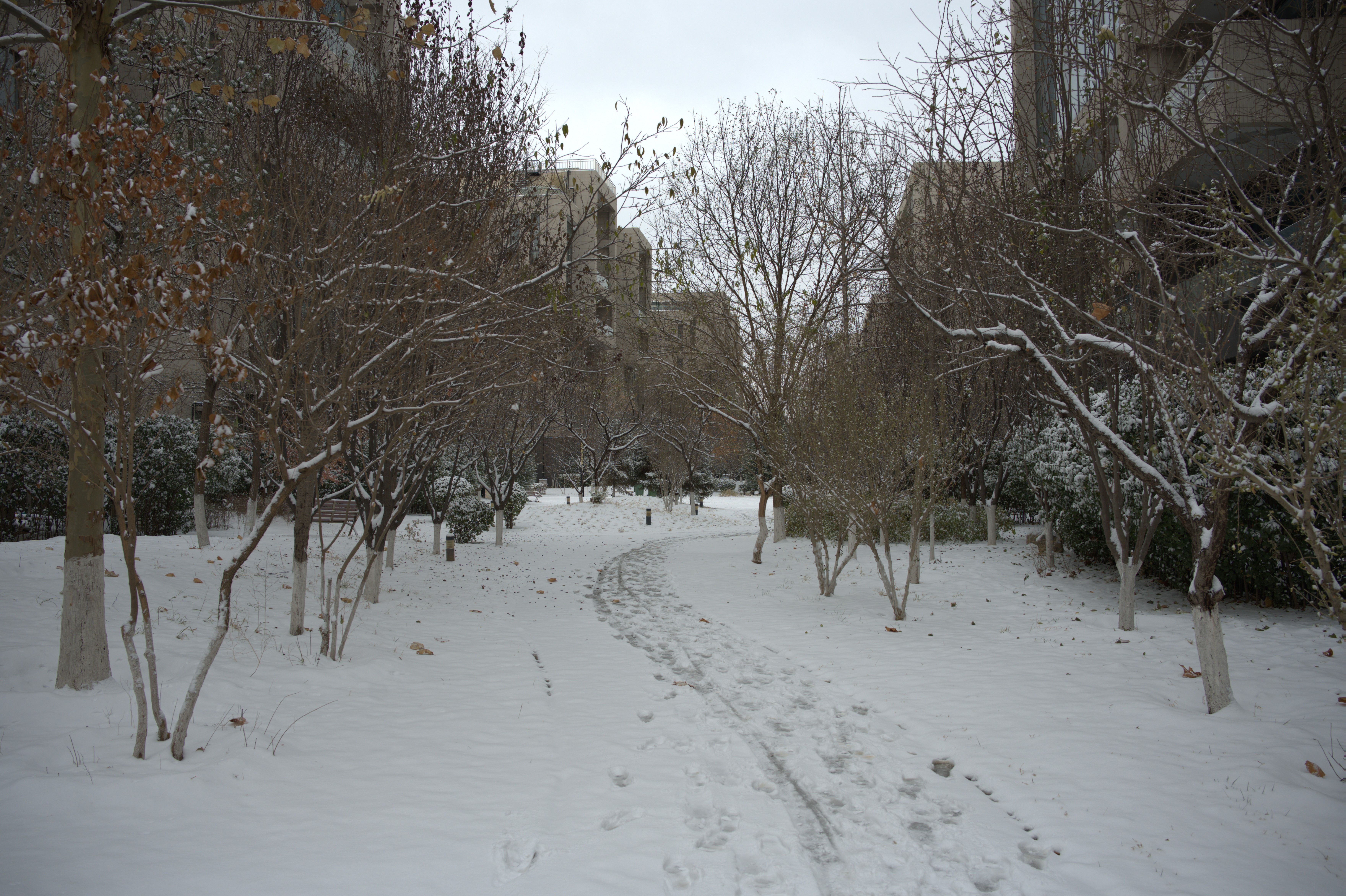 artificial snow environment
