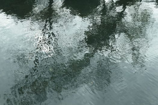 Serene reflection of trees on a calm water surface in China, capturing peaceful nature.