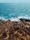 sea nature