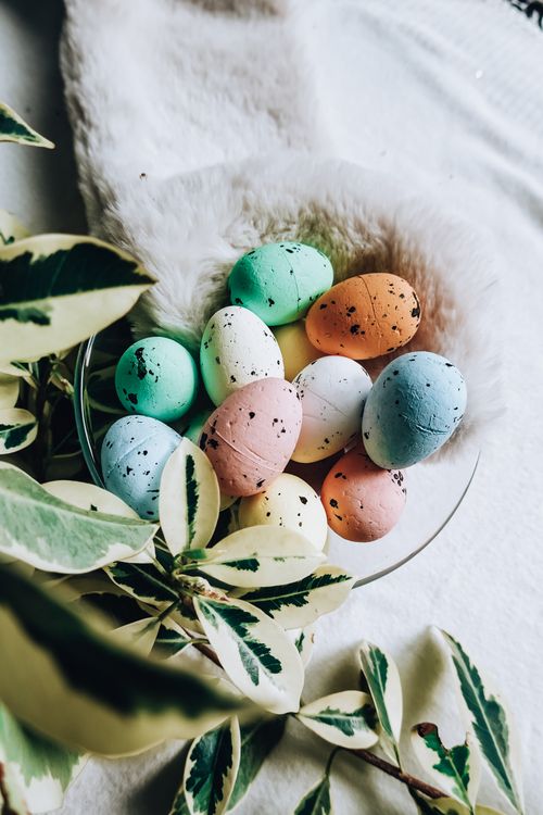 Free A bowl of pastel-colored Easter eggs surrounded by leaves, capturing the essence of spring. Stock Photo