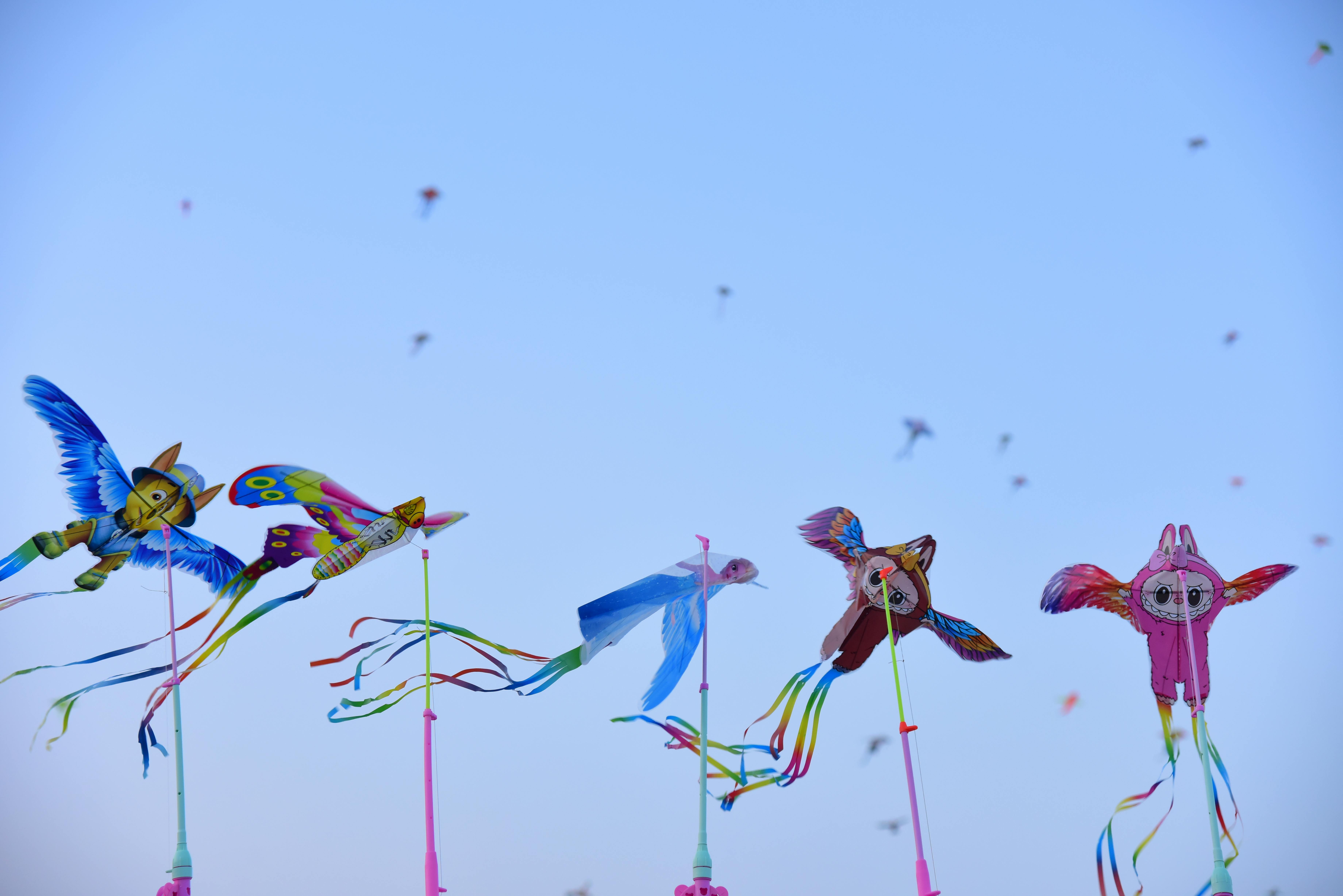 Colorful owl and bird kites flying high at a vibrant festival under a clear blue sky.