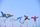 kite flying